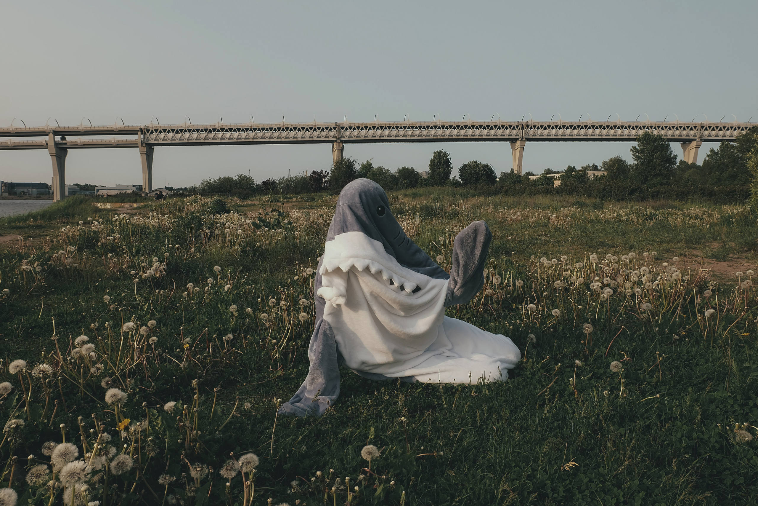 Shark and Hum. Портретный фотограф DanilNabody