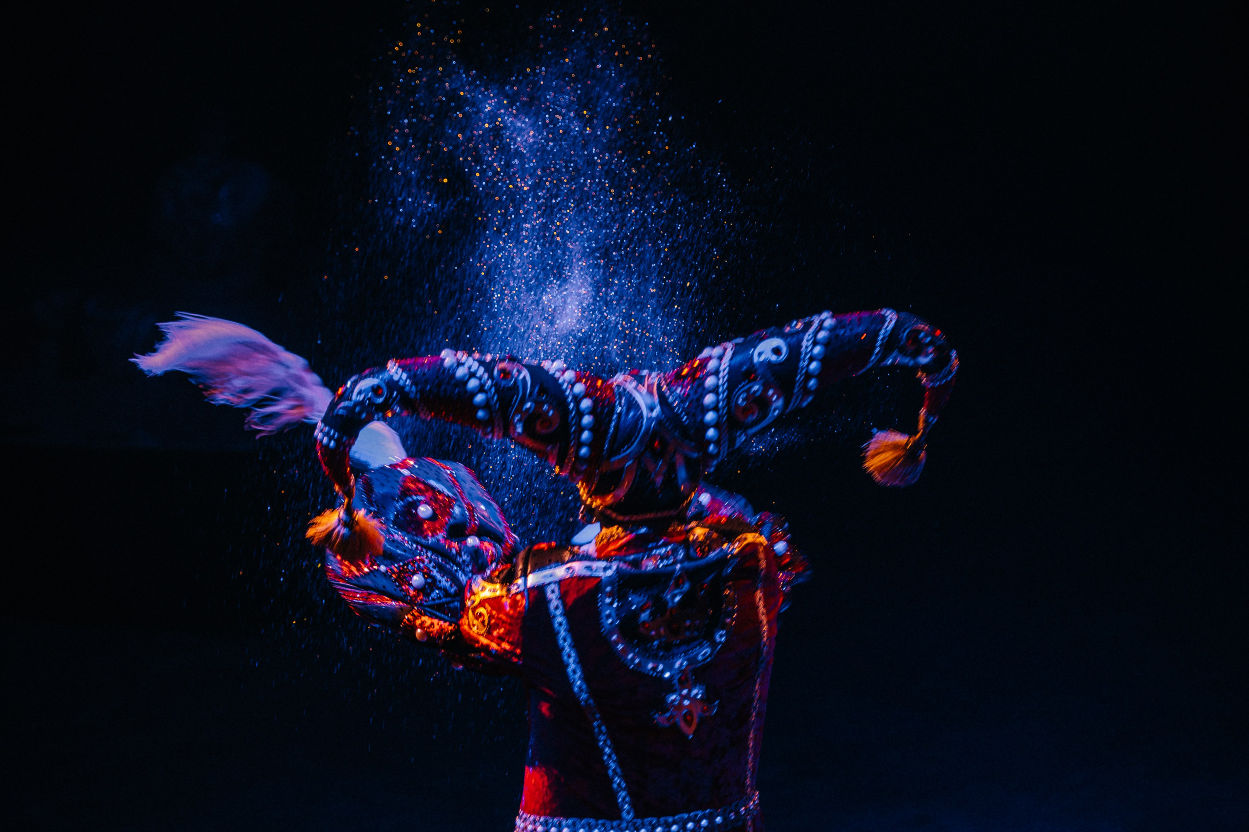 Королевский Цирк Гии Эрадзе. Репортажный и портретный фотограф в Санкт-Петербурге Степлевич Дарья