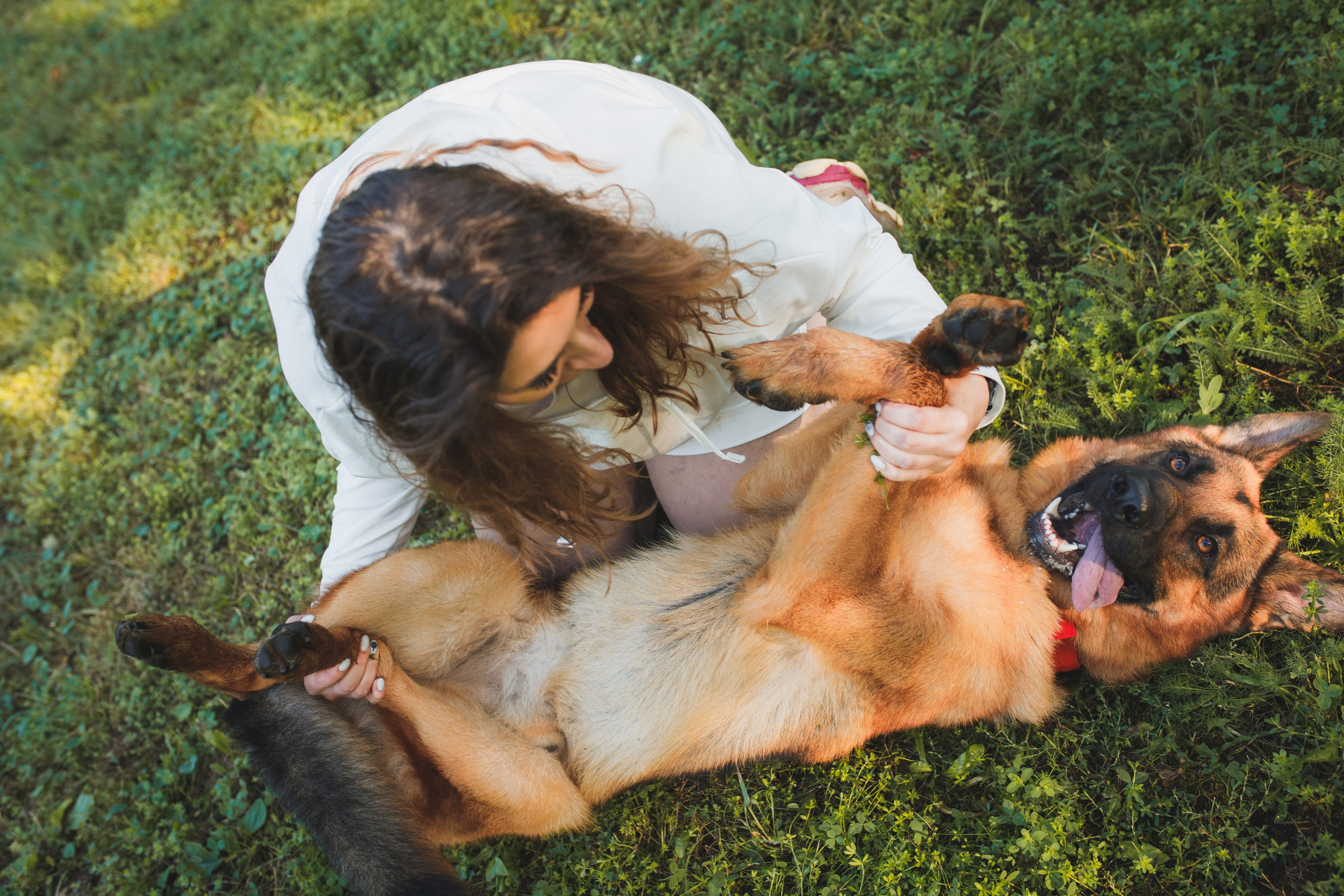 Фотопрогулка молодой девушки и ее собаки летним утром в парке. Семейный и школьный фотограф в Москве Анна Ткач