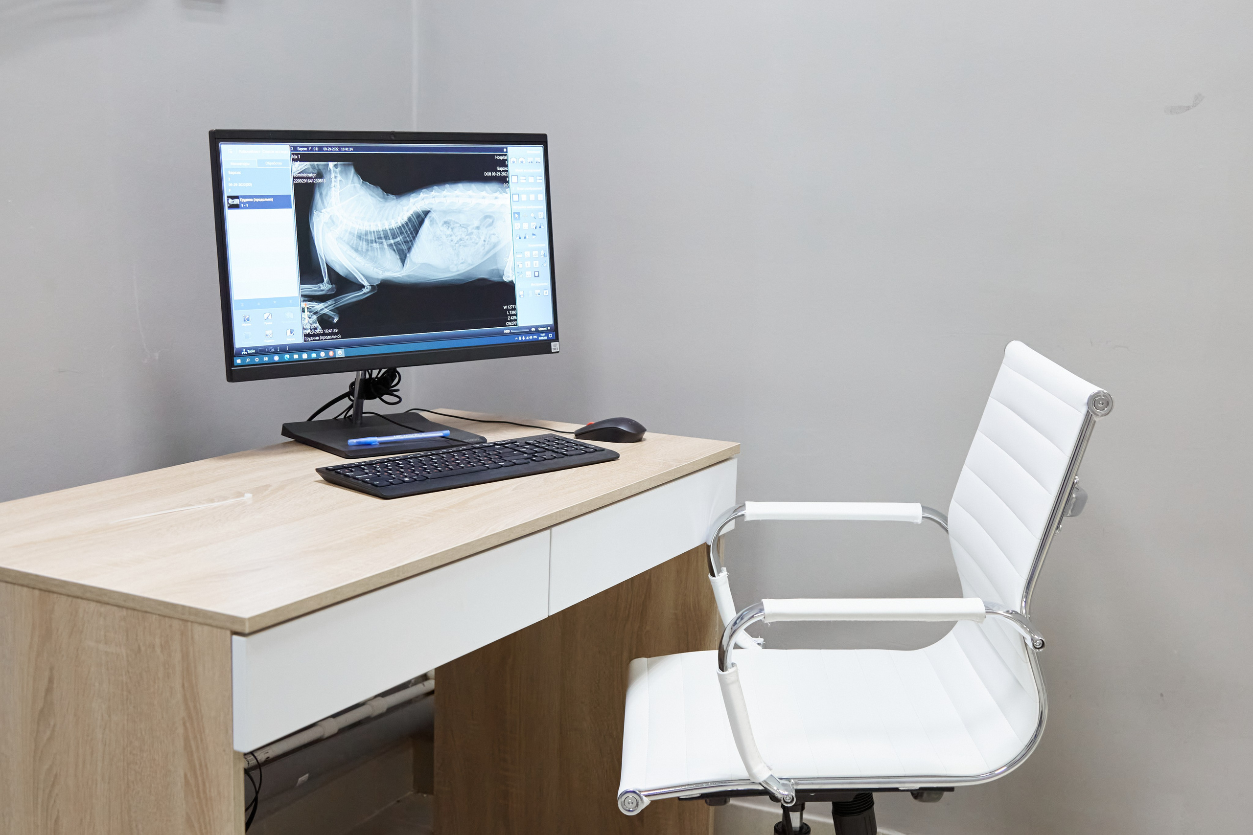 Клиника кошек. Фотограф Анастасия Леонтьева Санкт-Петербург