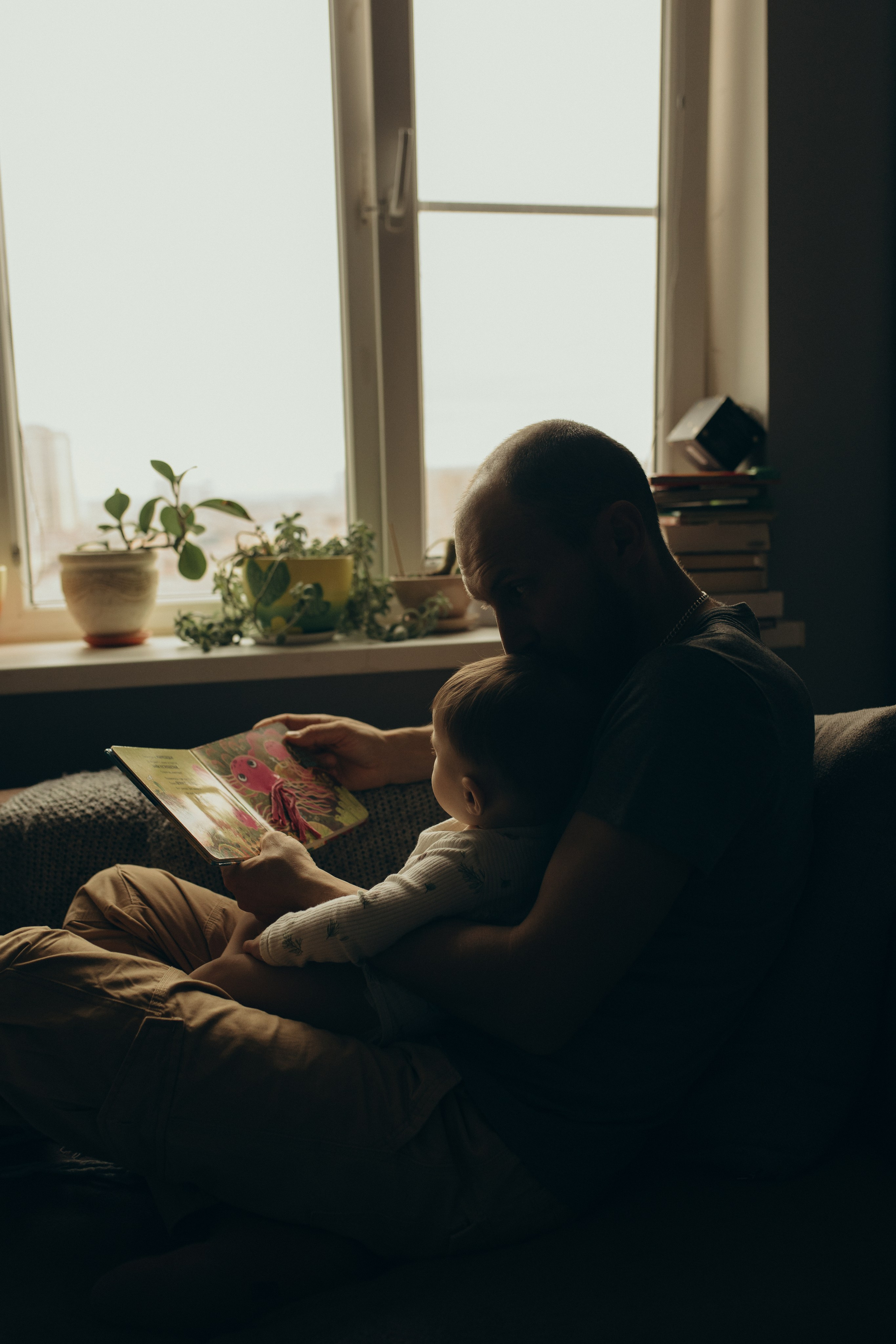 Домашняя история. Meryfotoidea