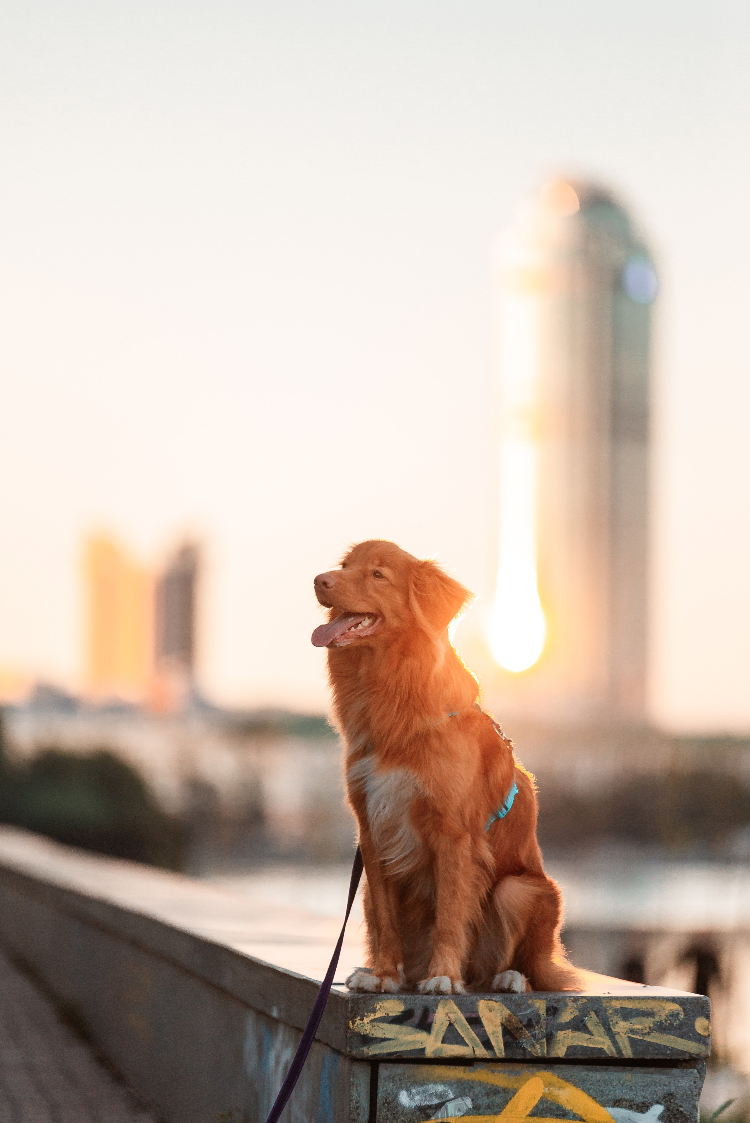 Таня и Лео. Фотограф-анималист Анастасия Парфенова|Екатеринбург