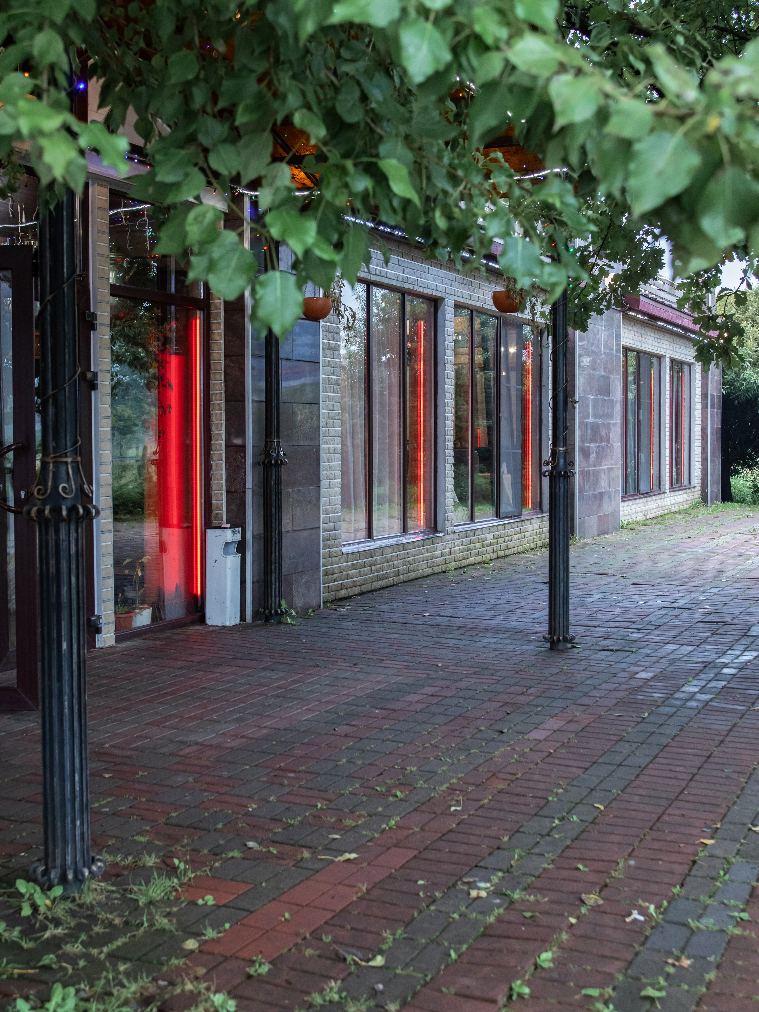 Юбилей Дмитрия. Предметный и семейный фотограф в Санкт-Петербурге Катерина Стеклова