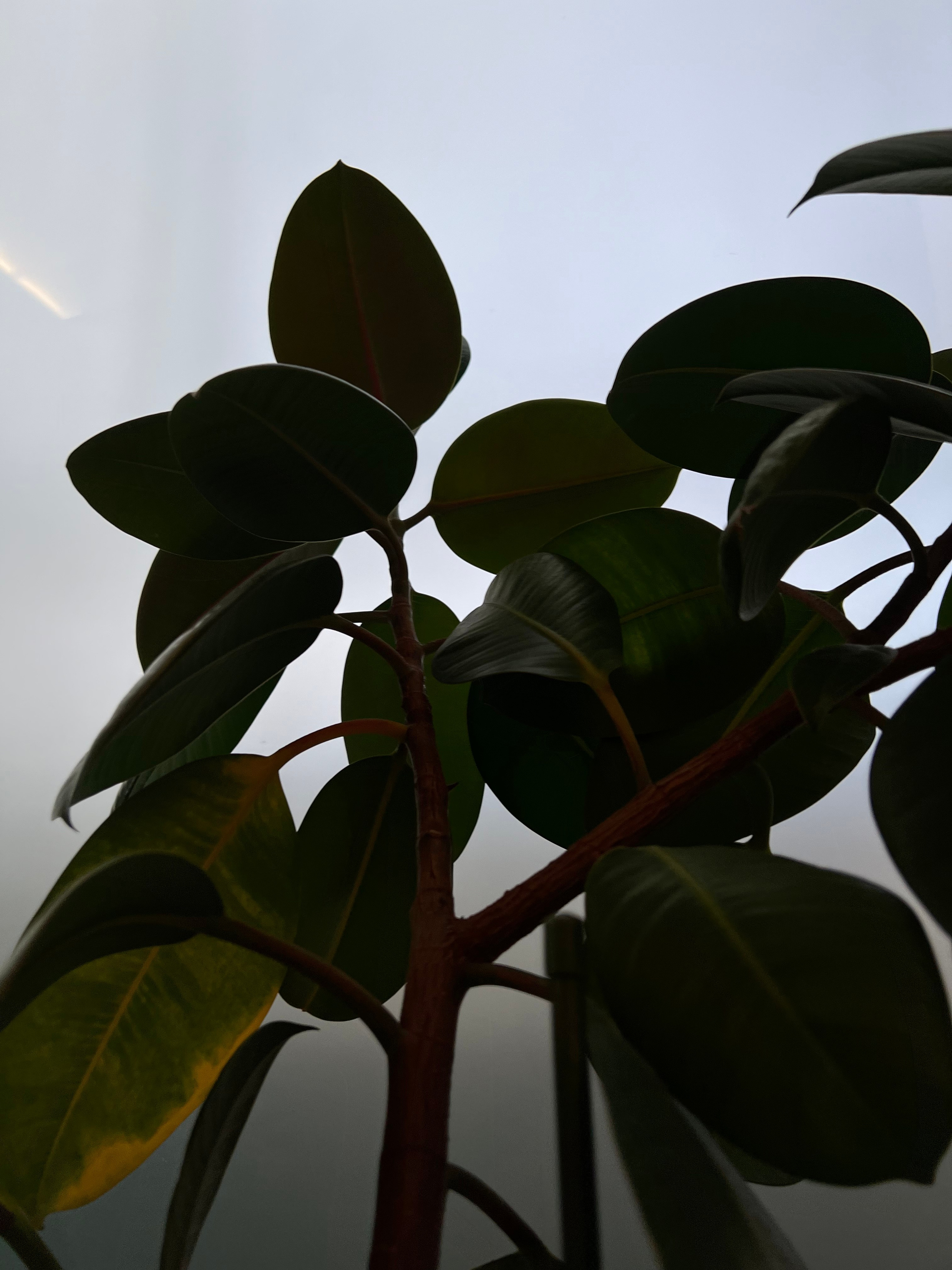 Fragments. Artem Khusainov