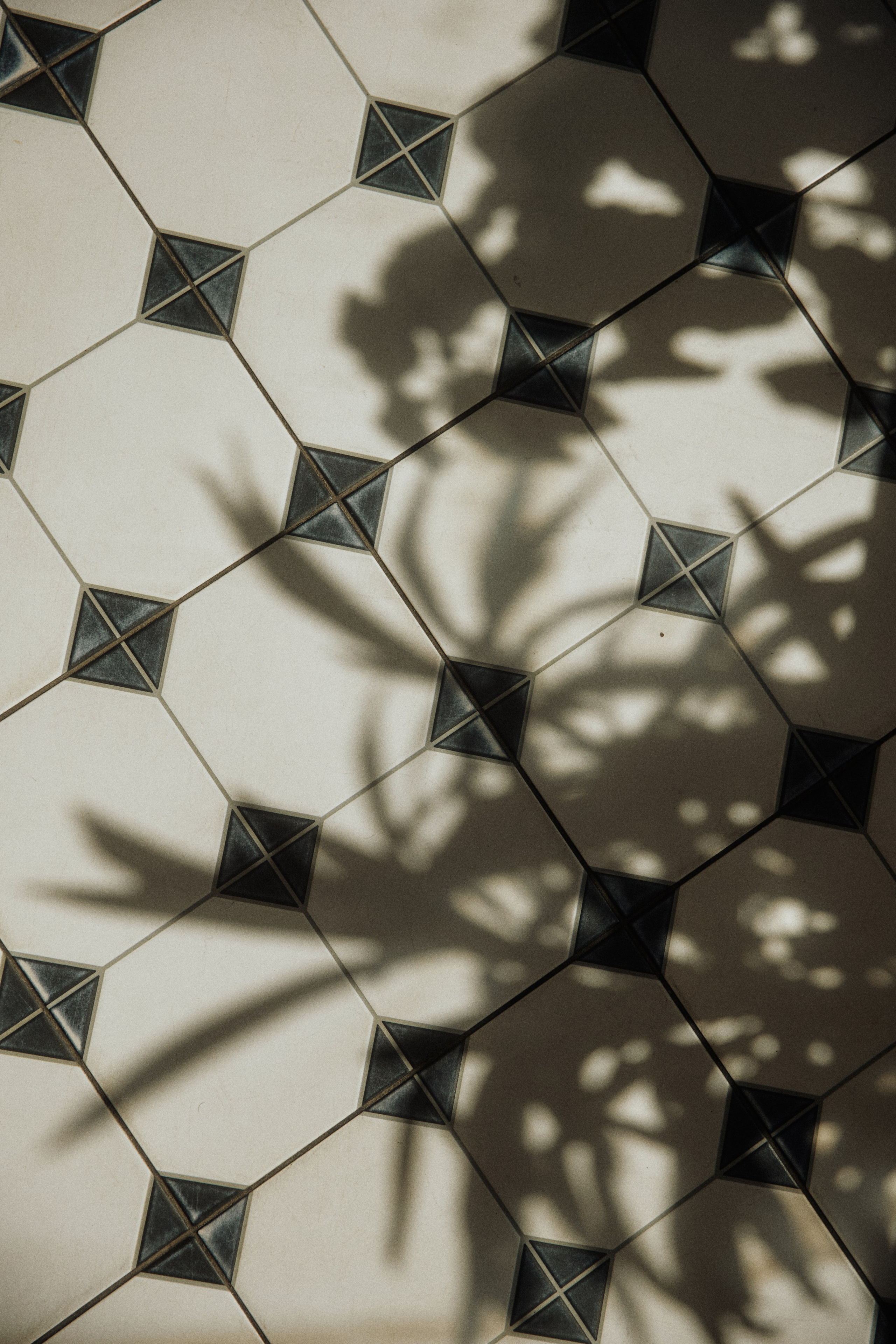 THE GRAND BUDAPEST. Дмитрий Мазуркевич: Профессиональный Репортажный Фотограф