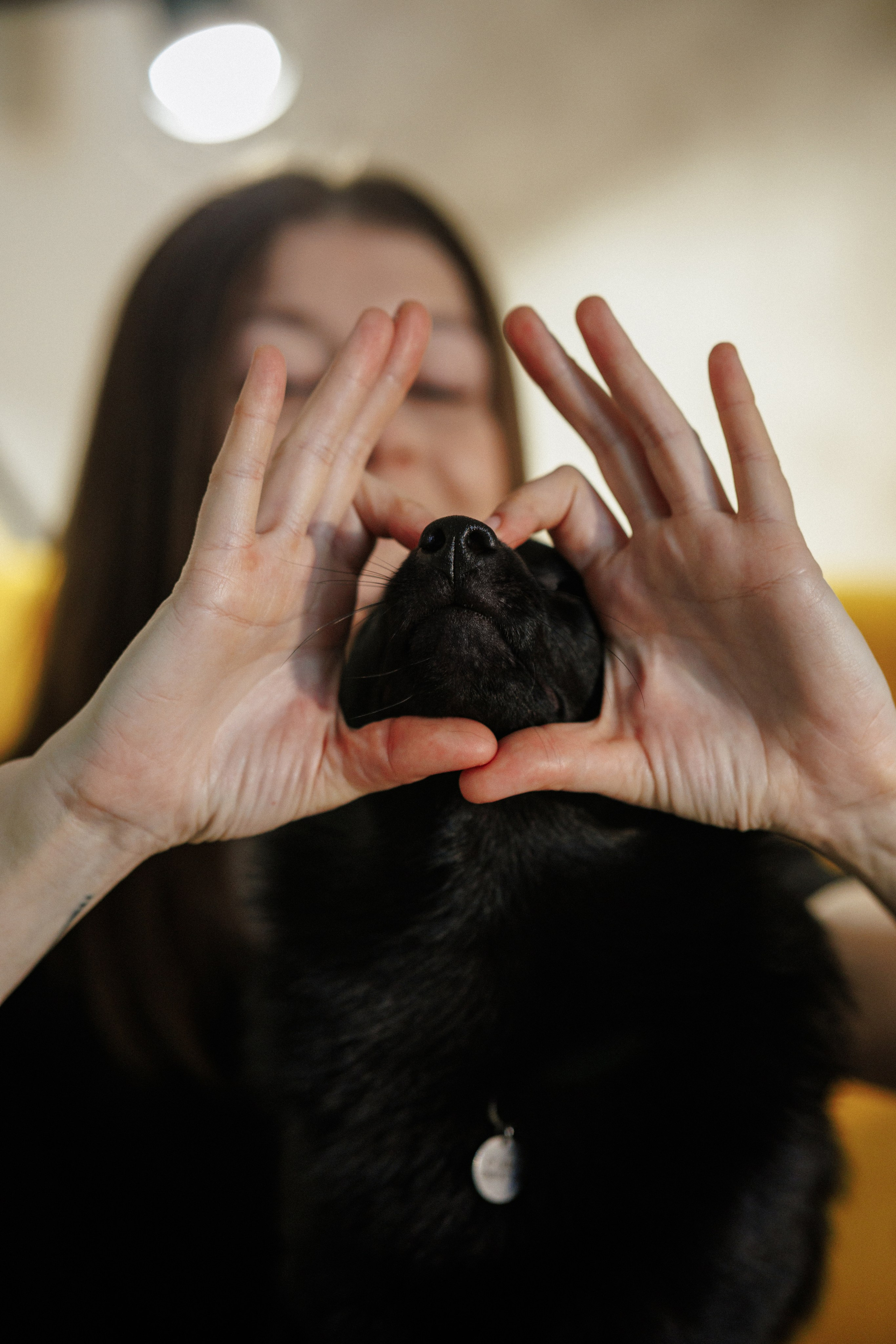 Юлия и Кит. Фотограф в Санкт-Петербурге Алёна Губинская