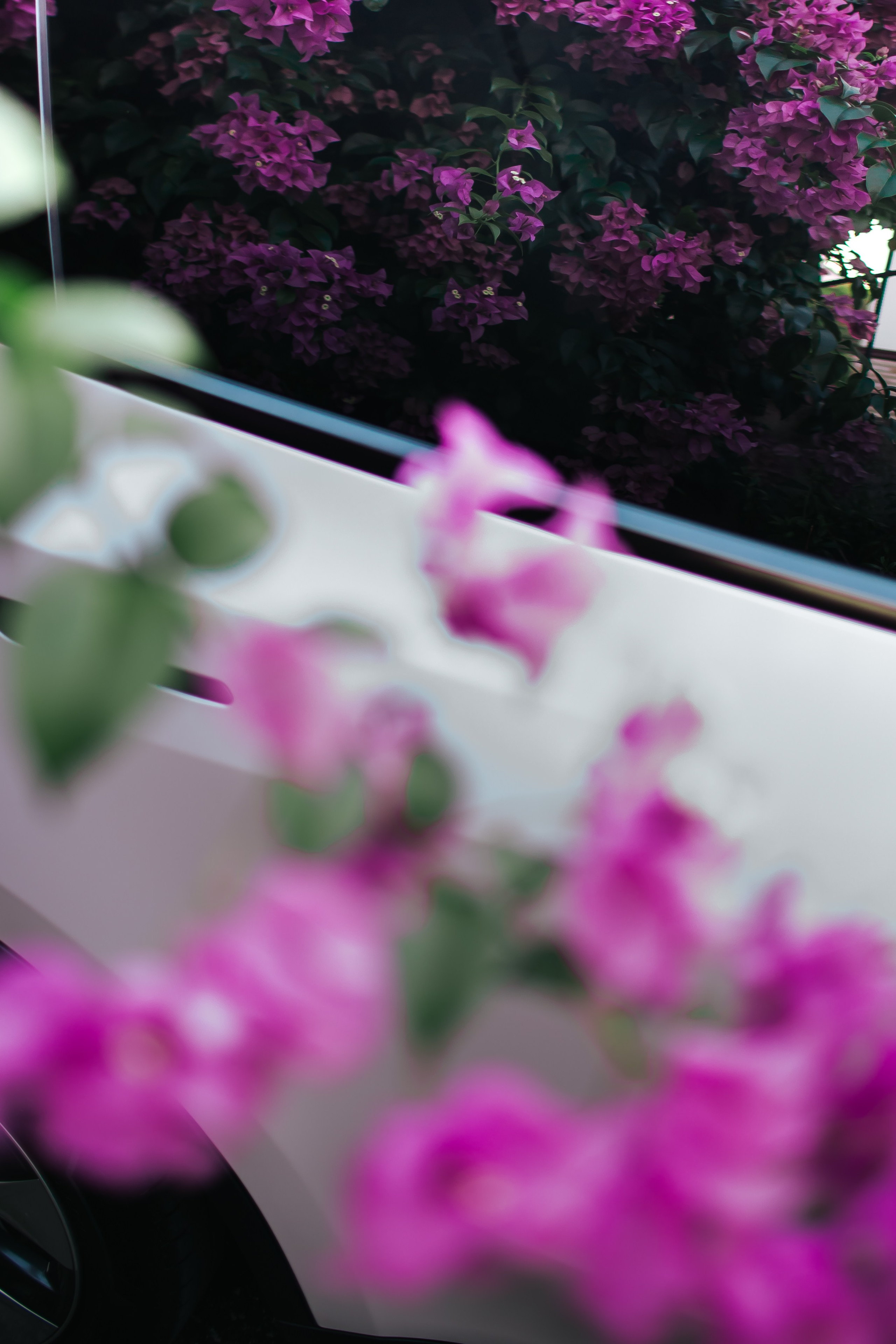 Tesla Model 3 Pearl. Фотограф в на Пхукете Сергей Войлоков