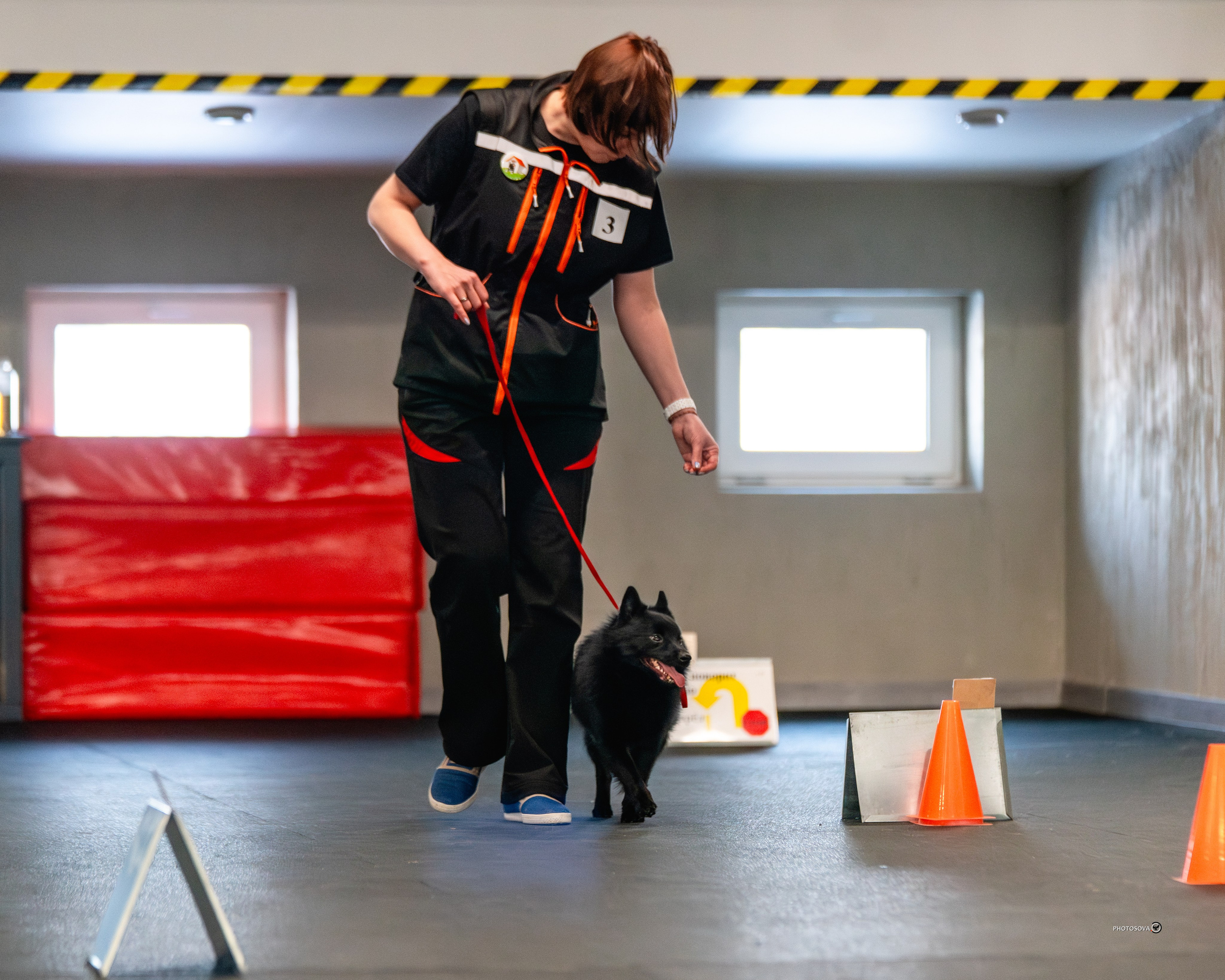 ТЫ И Я (соревнования по ралли-обидиенс). Фотограф-анималист, семейный фотограф в Москве и Подмосковье. Фотосъёмка кинологических дисциплин