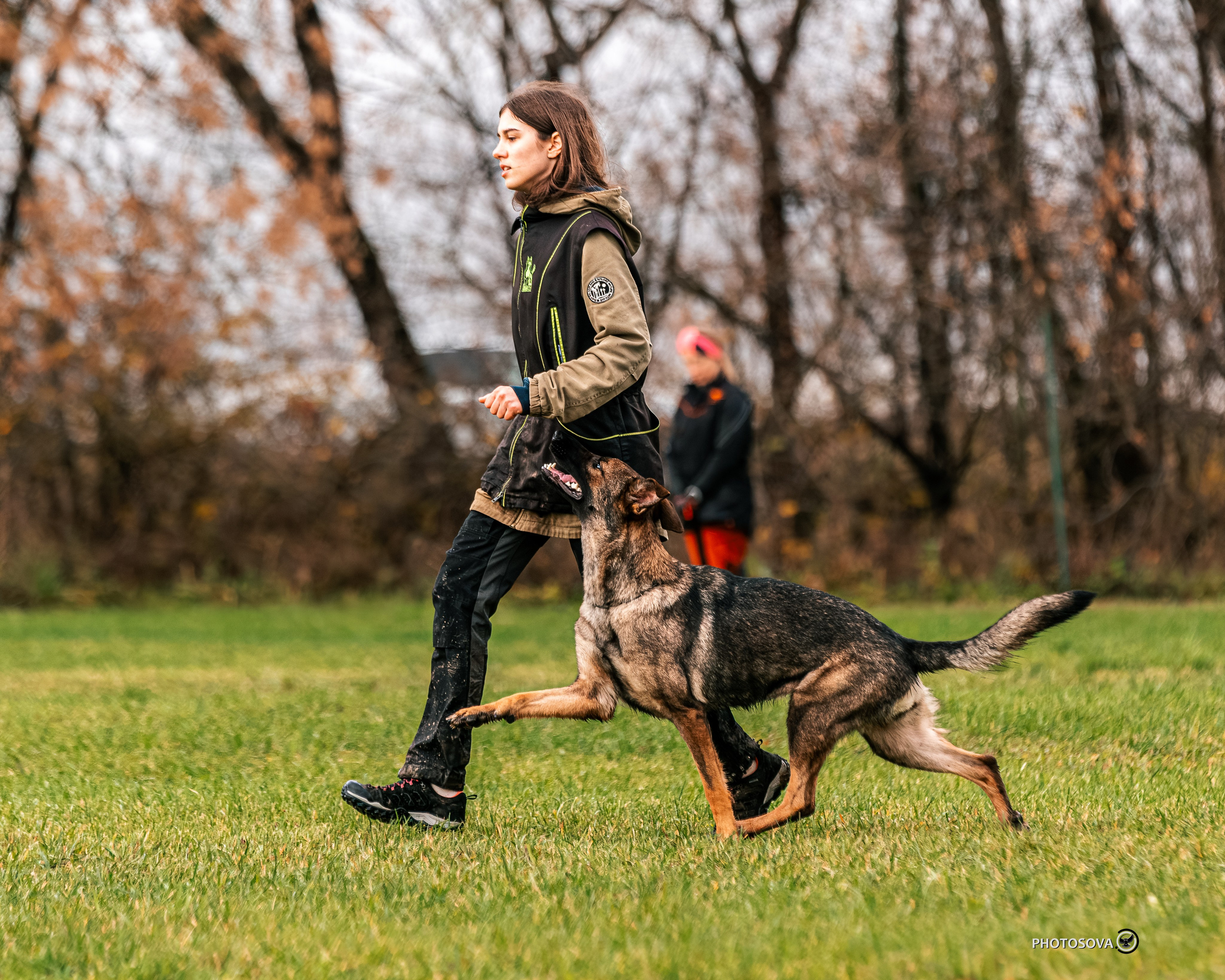 МЫ — КОМАНДА (соревнования) OKD, BH, IBGH, IGP. Фотограф-анималист, семейный фотограф в Москве и Подмосковье. Фотосъёмка кинологических дисциплин