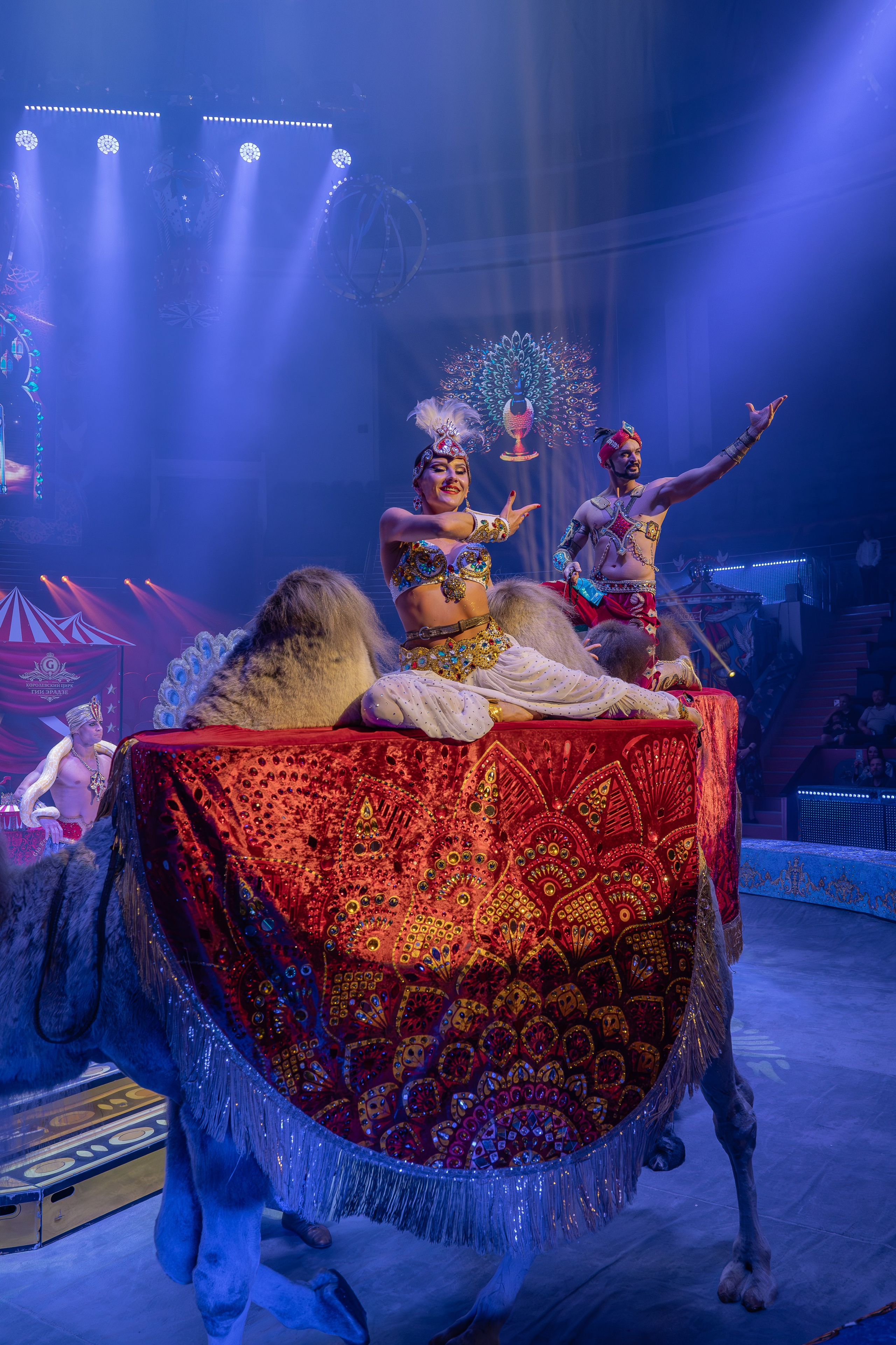 Цирк Гии Эрадзе. Наталья Слесаренко фотограф в Сочи