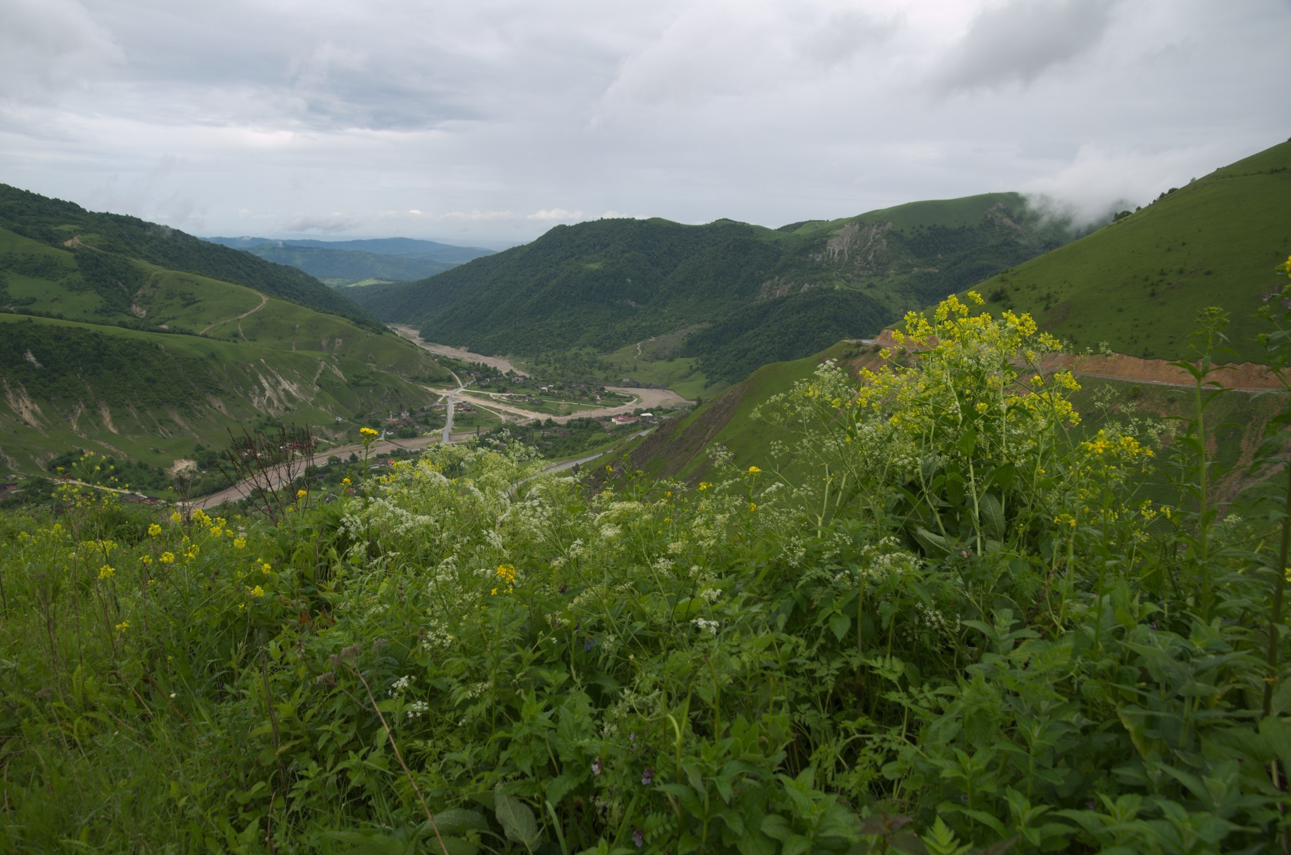 Чечня+Ингушетия | 10-12.06.2017. Галерея Фантим