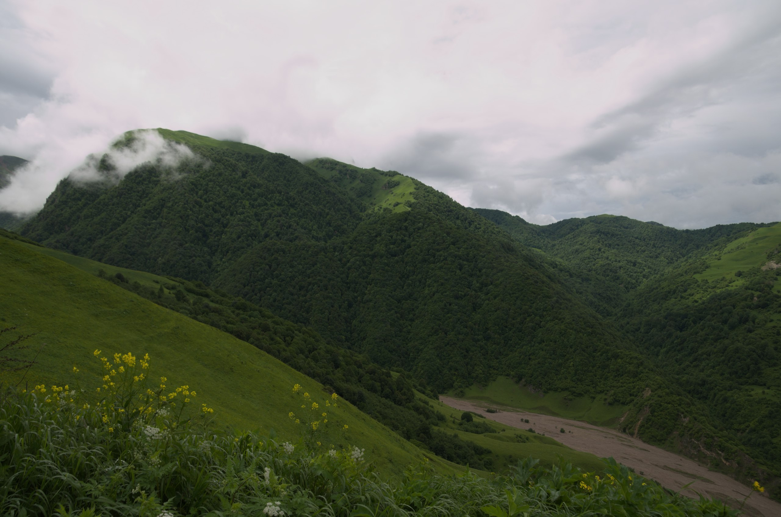 Чечня+Ингушетия | 10-12.06.2017. Галерея Фантим