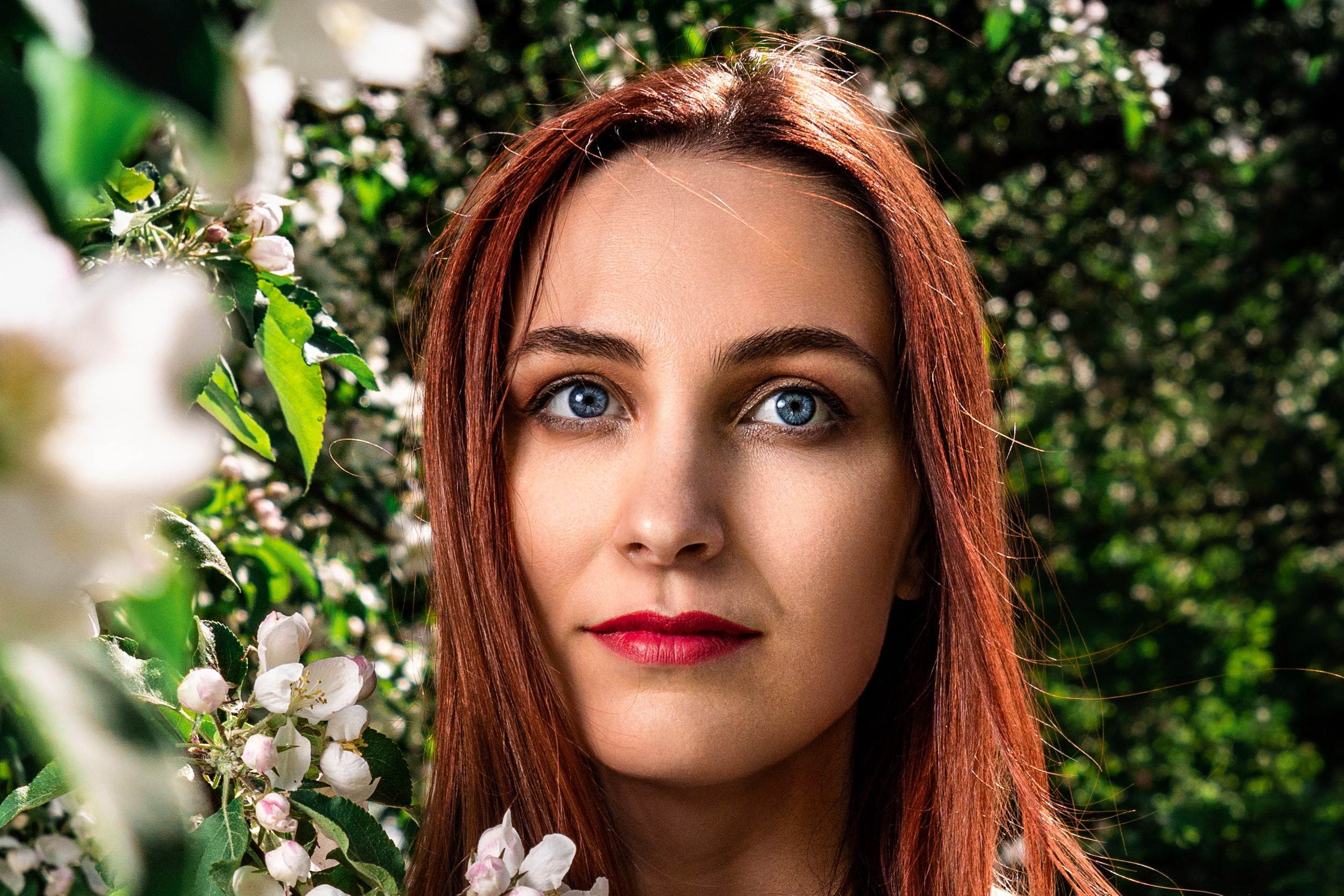 Яблочный сад. Фотограф. Москва. Алексей Светомиров. Love Story, портретная съемка