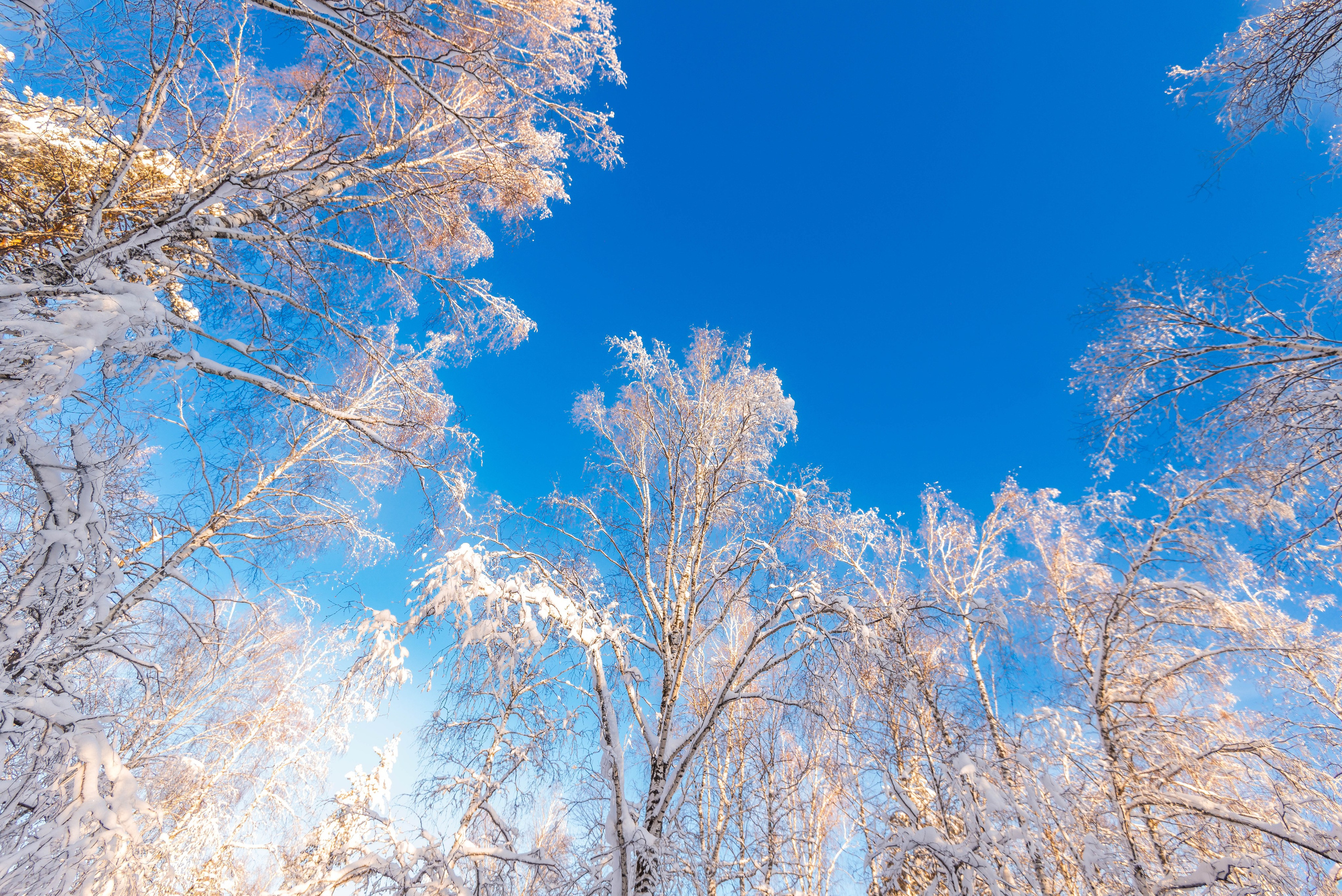 Таганай Семибратка, Парк Бажова, ледяной фонтан 06.01.2024. Свадебный фотограф на Урале Виктор Соколов