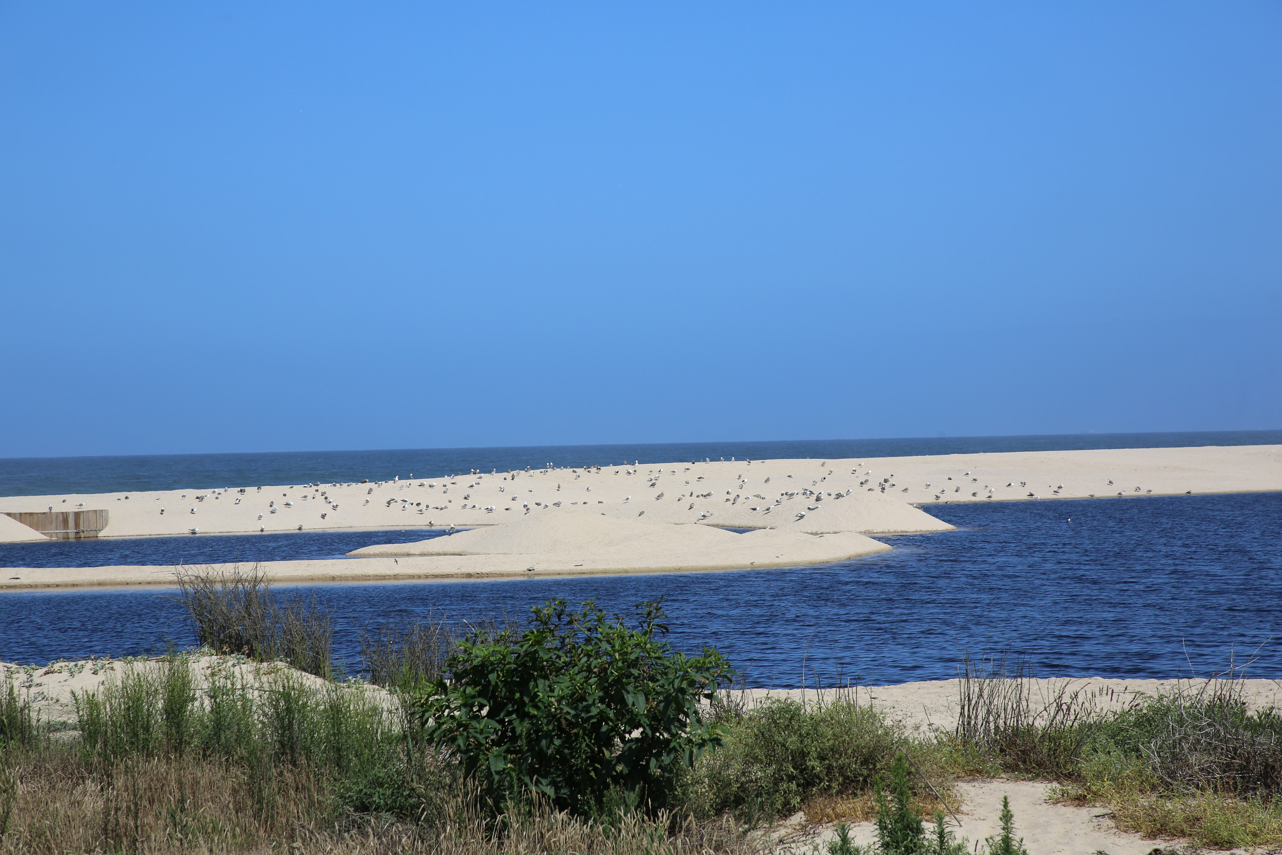 Esmoriz, Portugal. Andrey Filippov Photographer