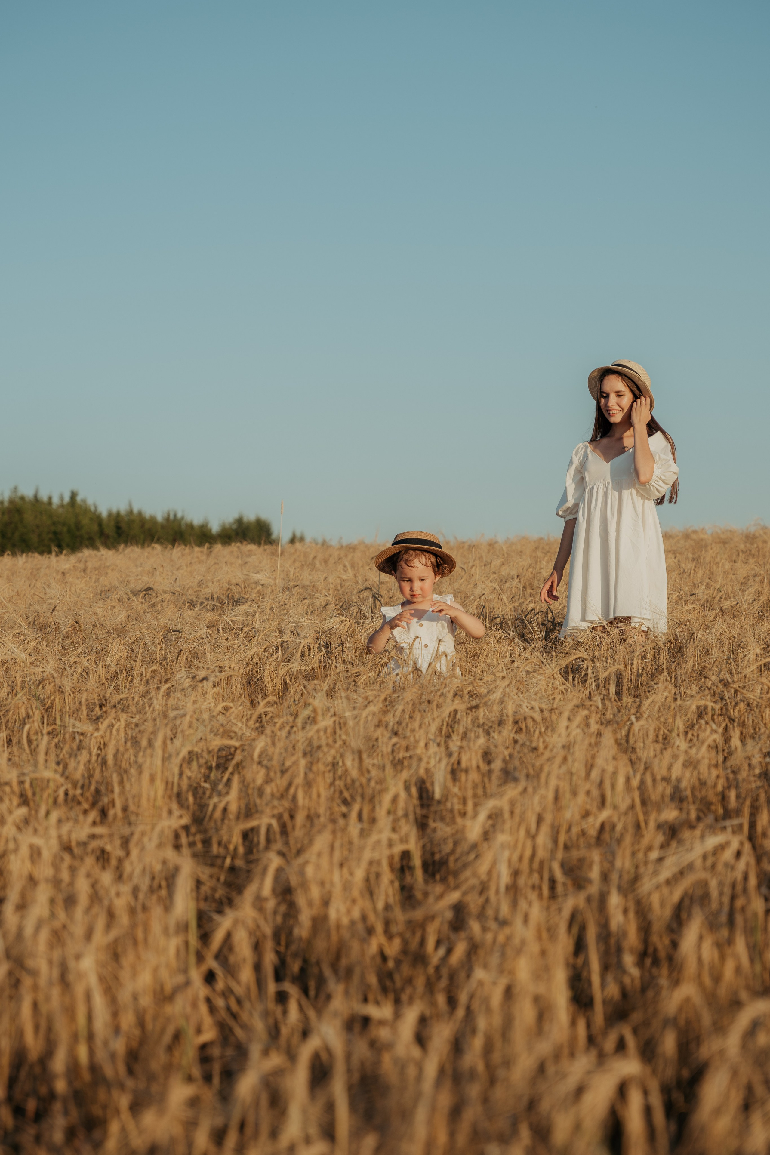 Солнце.Закат.Поле