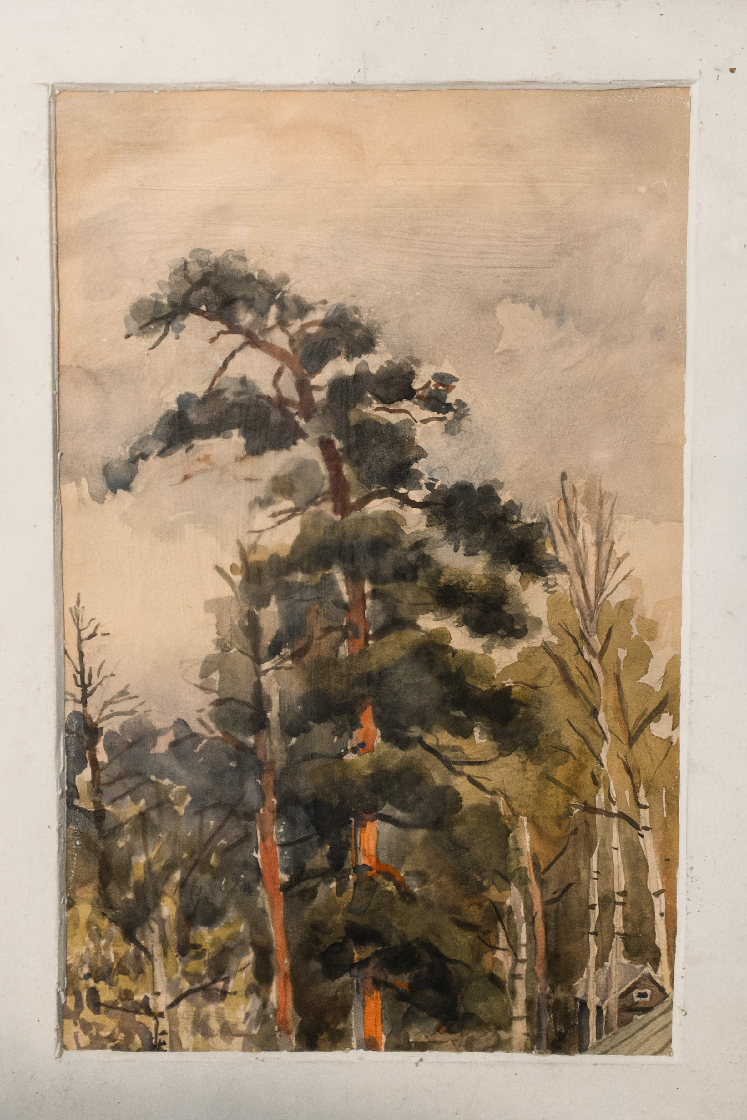 Роза. День рождения. Фотограф в Санкт-Петербурге Авдотья Благовещенская