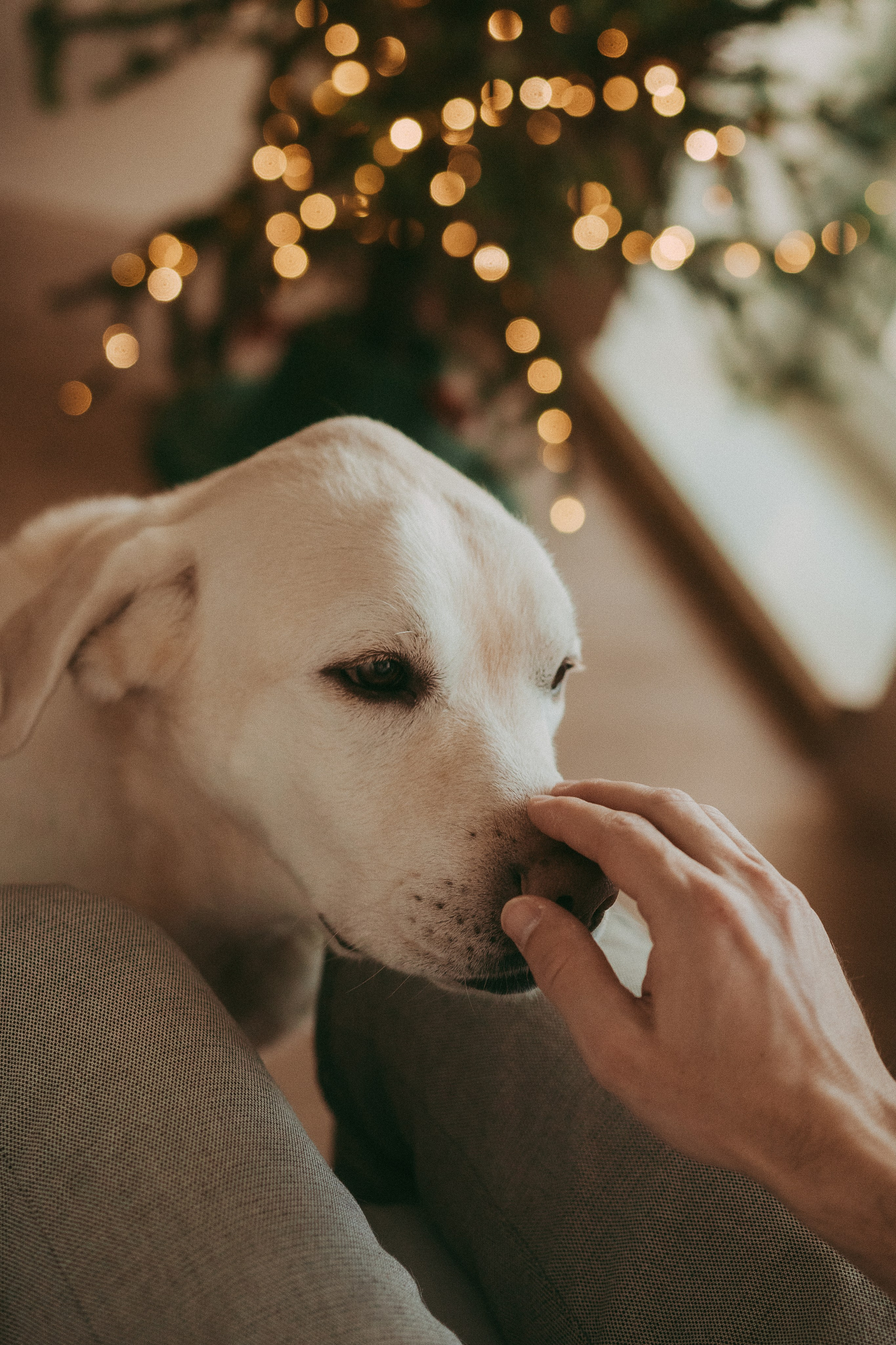 Счастье быть вместе. Семейный фотограф в Челябинске Волченко Ксения