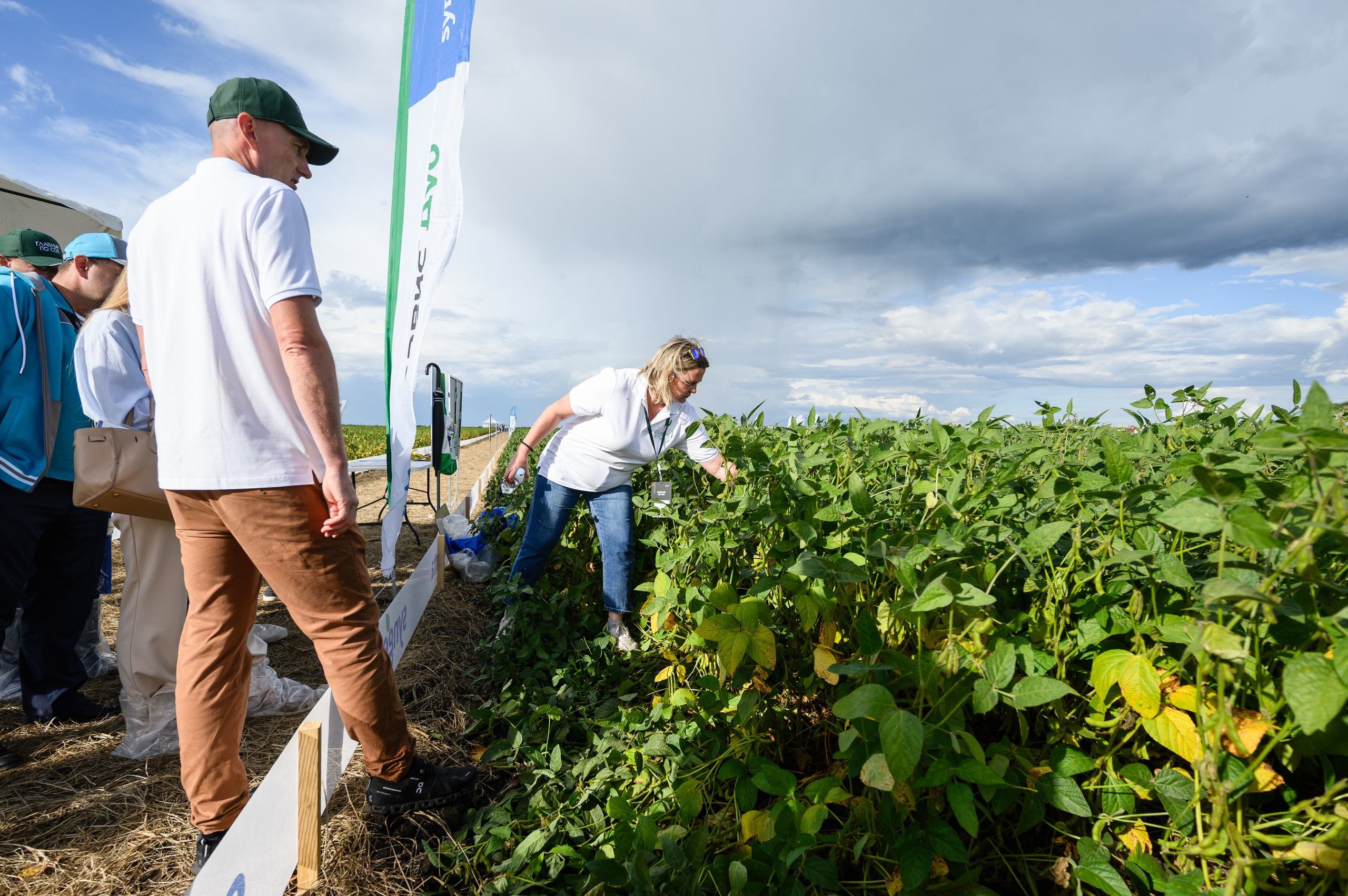 Проекты. Профессиональный фотограф Вячеслав Плацында | Липецк |