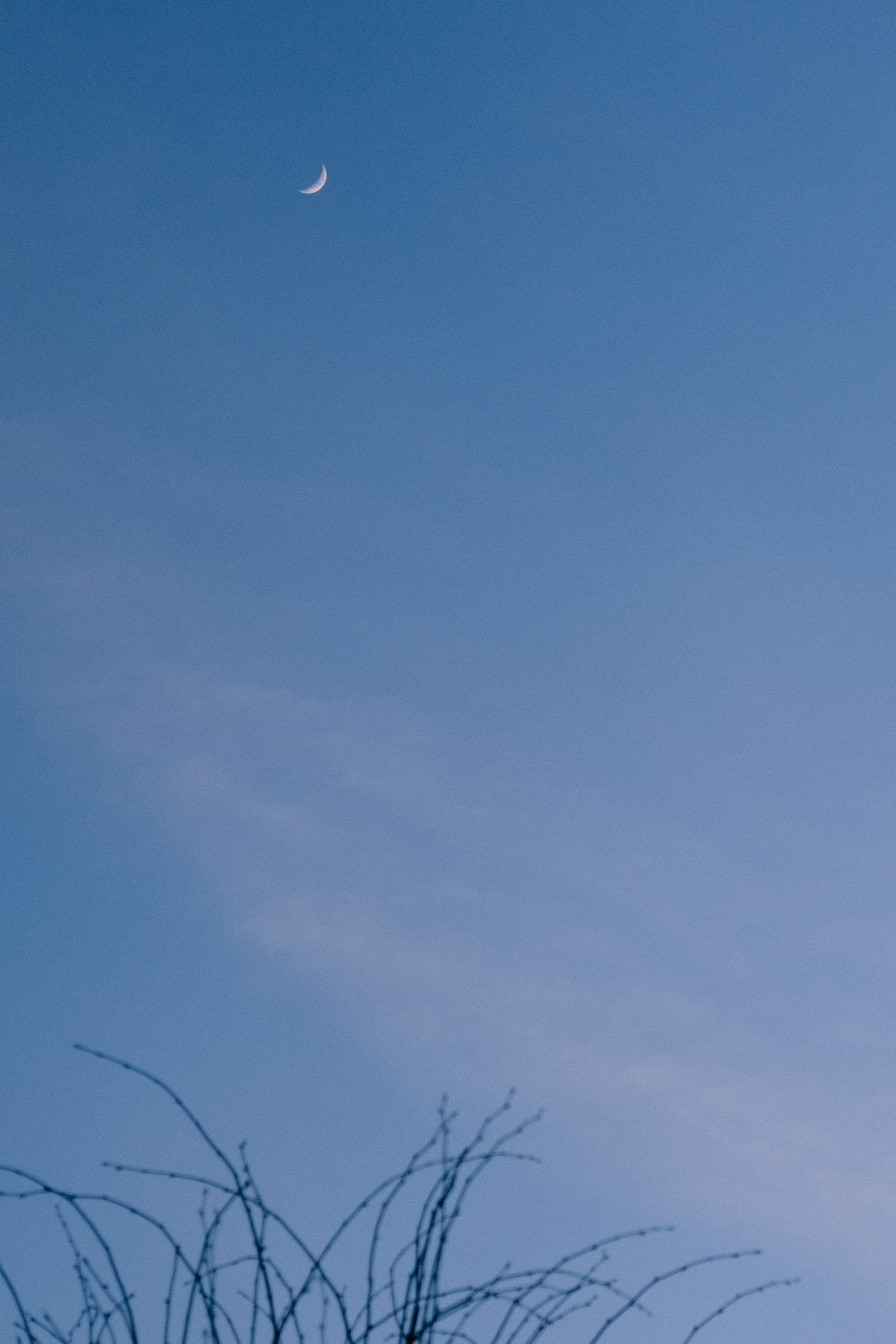 K|T. Свадебный фотограф Таня Караисаева