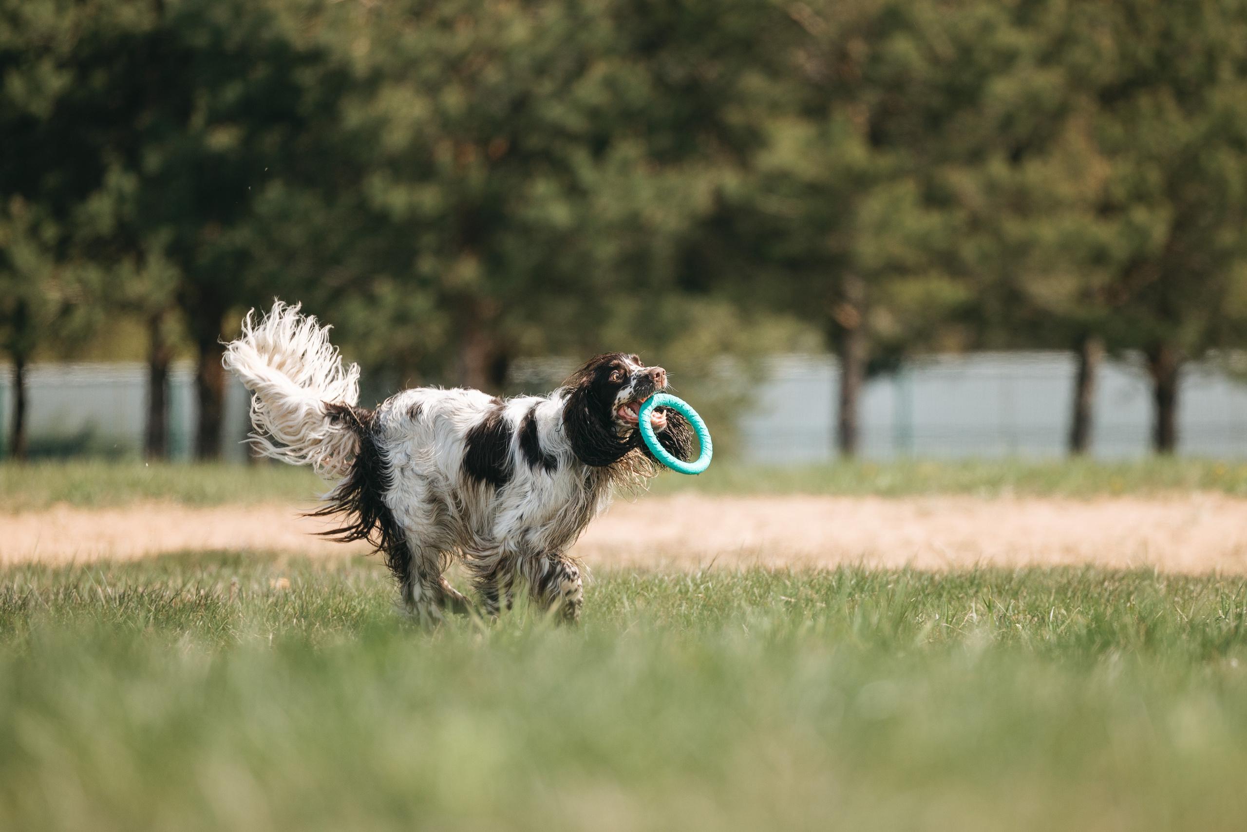 Спанимания. Фотограф анималист Осипчикова Мария