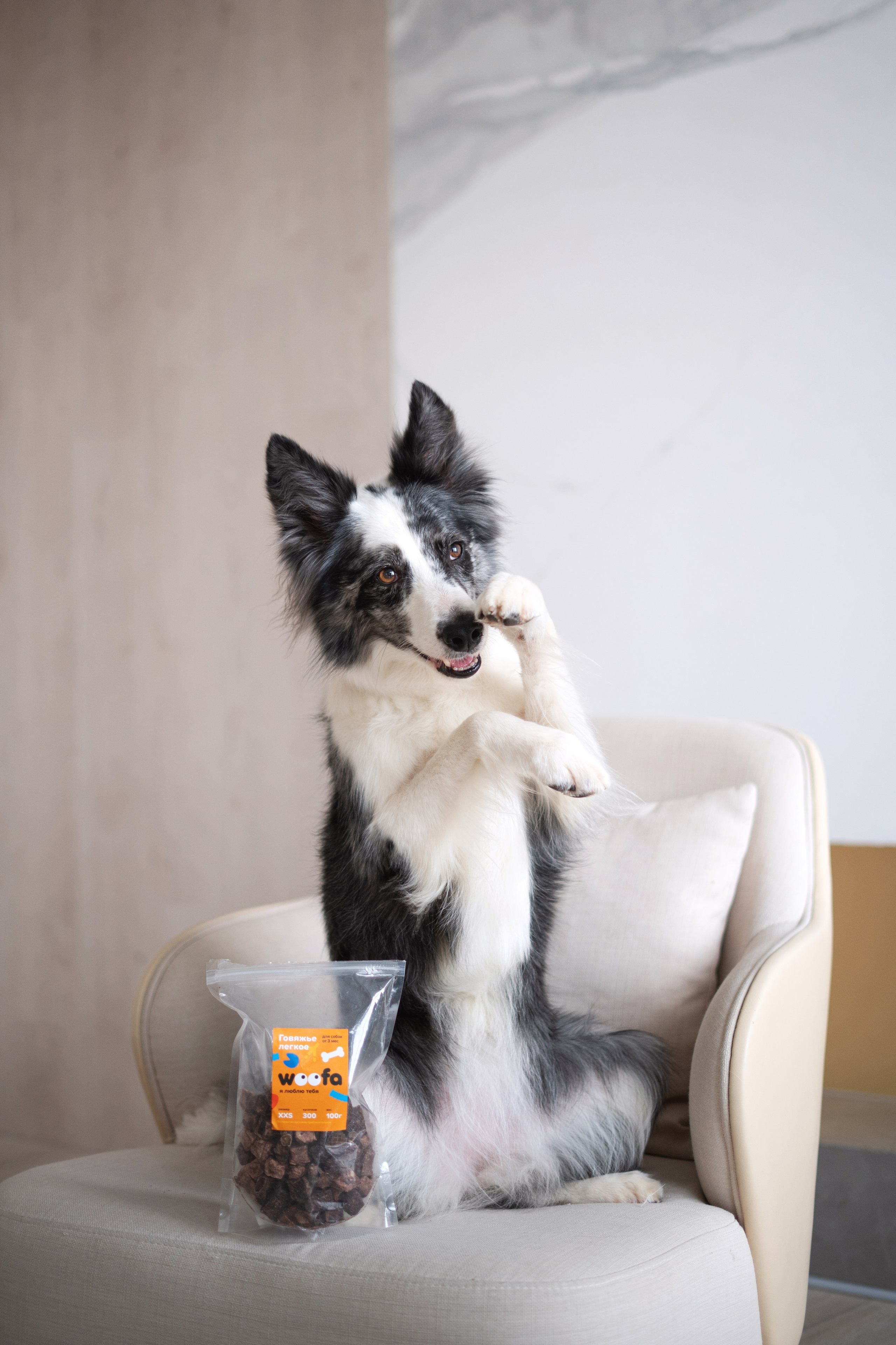 Лакомства Woofa. Фотограф анималист Осипчикова Мария
