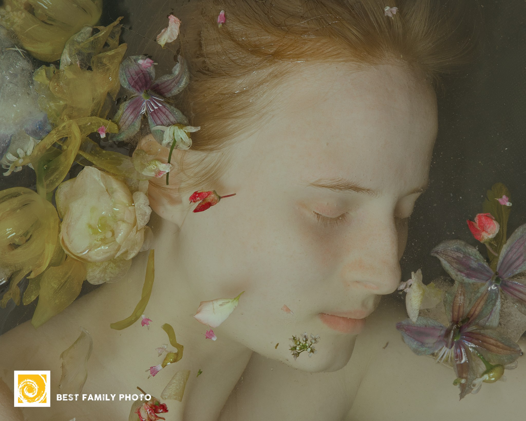 Елена Донская