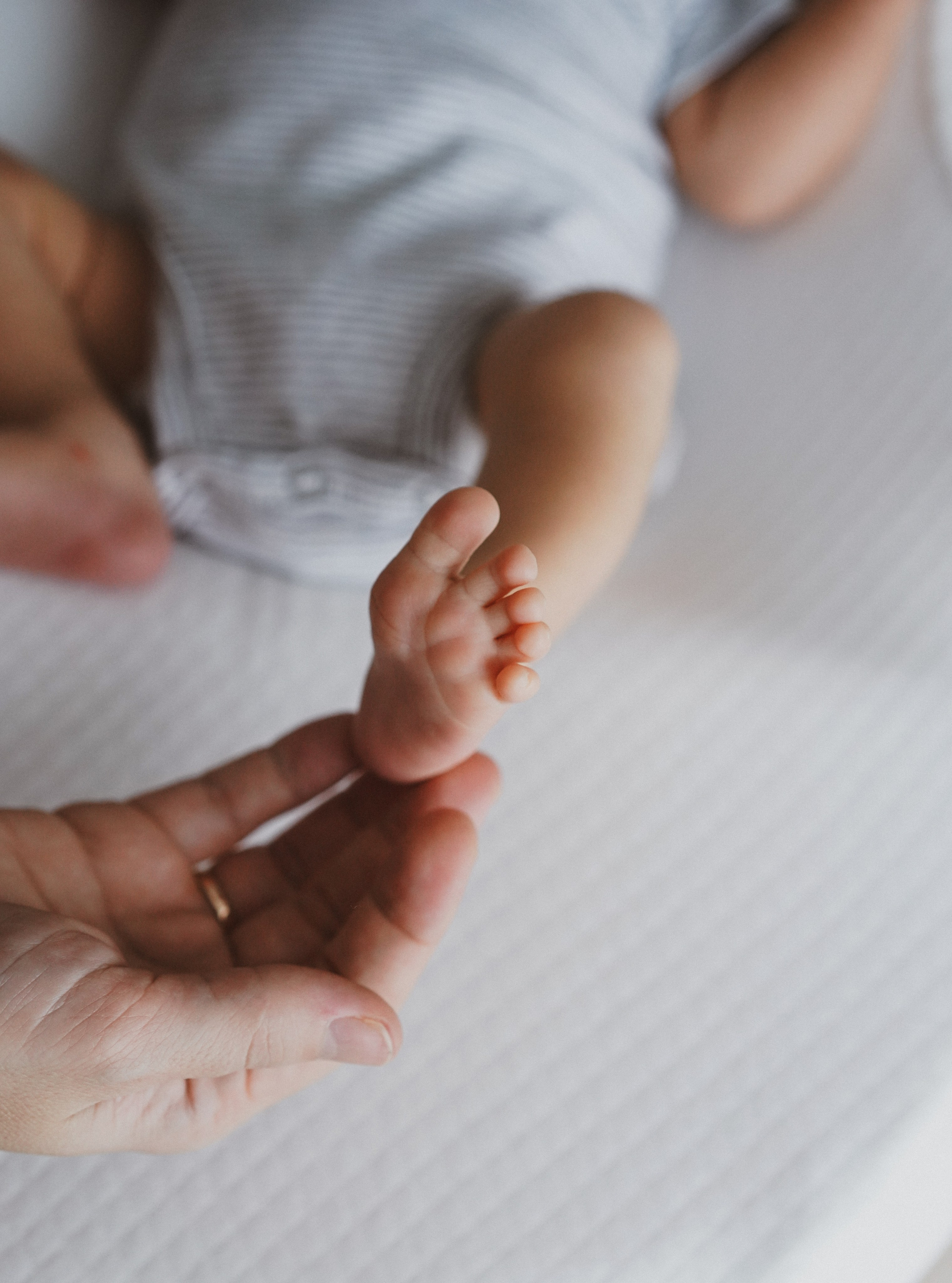 Владимир, Екатерина, Давид и Адам. Портретный фотограф Алёна Счетчикова