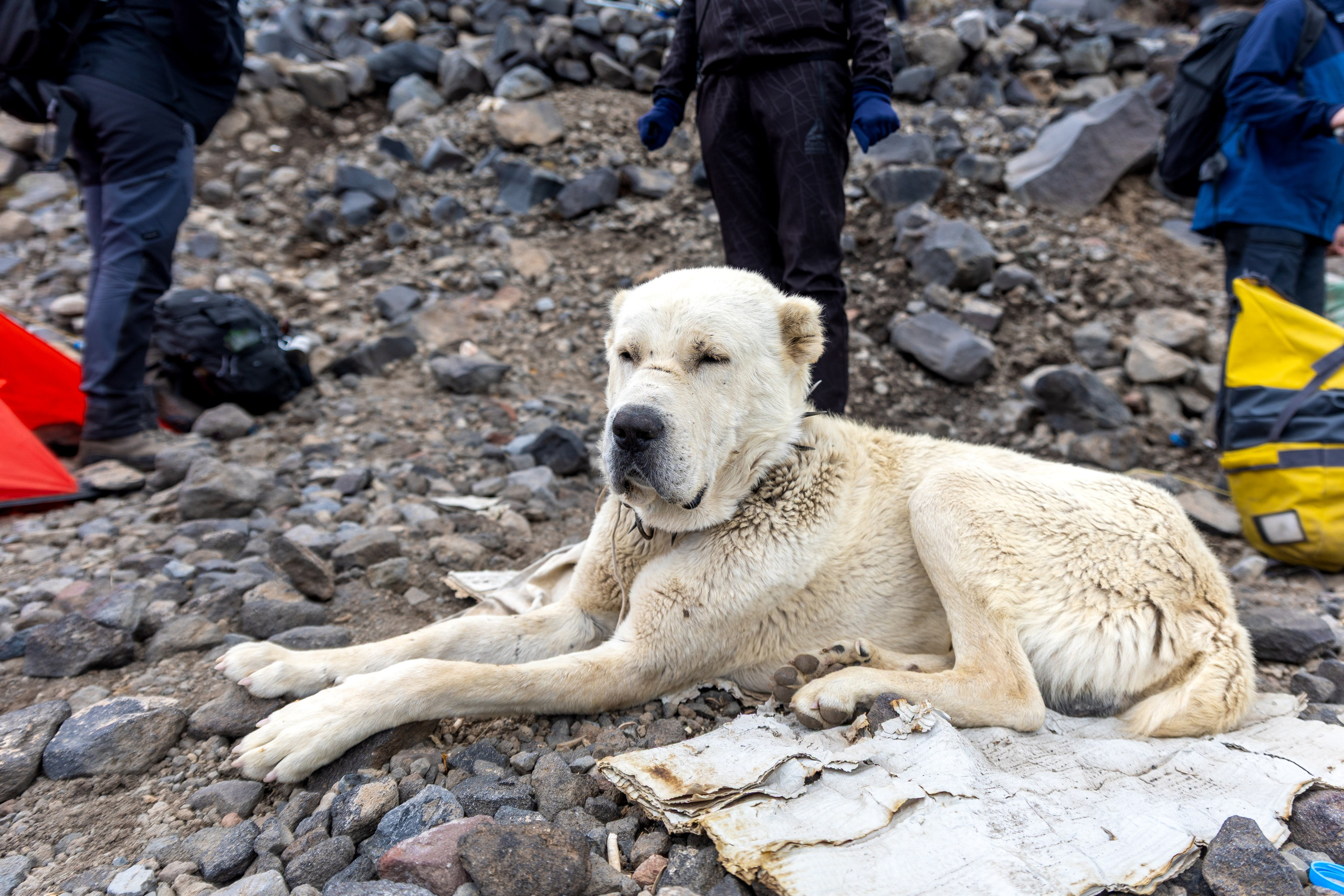 Арарат. Тревел-фотограф Олег Гуров