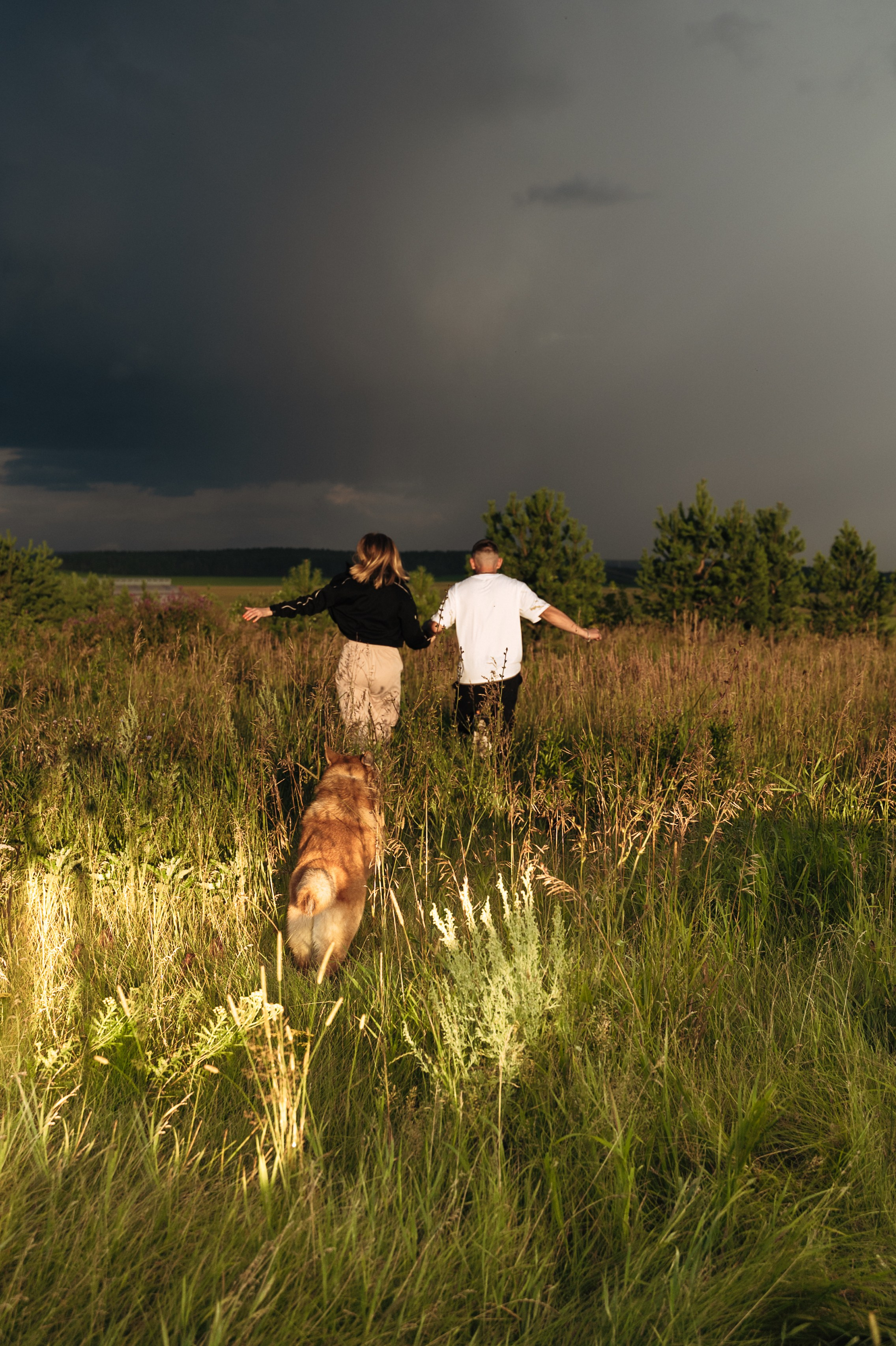 Фотосессия с собакой Екатеринбург. Портретный и семейный фотограф в Екатеринбурге Мария Чахеева