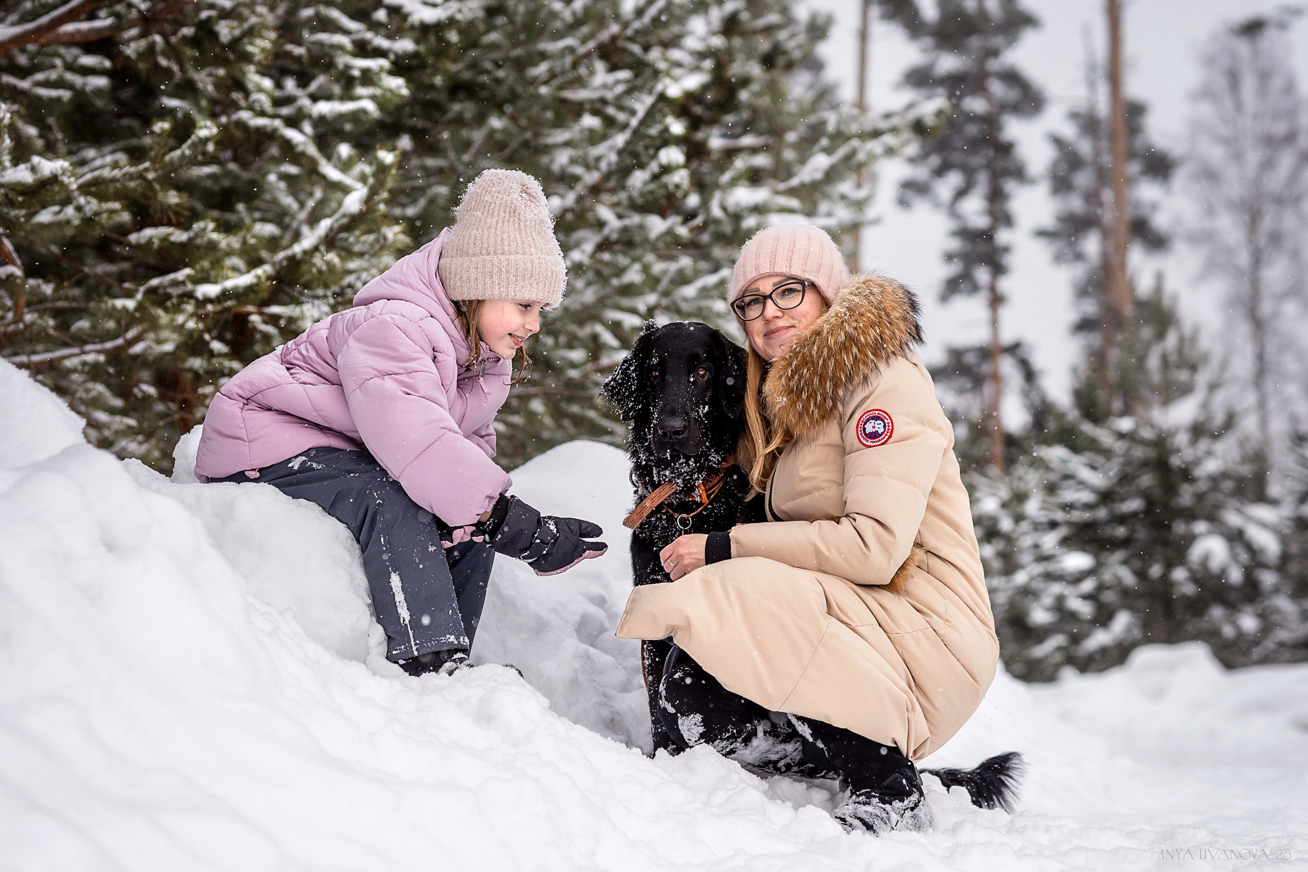 Катя — Вера и Купер. Фотограф анималист Аня Ливанова | Рыбинск