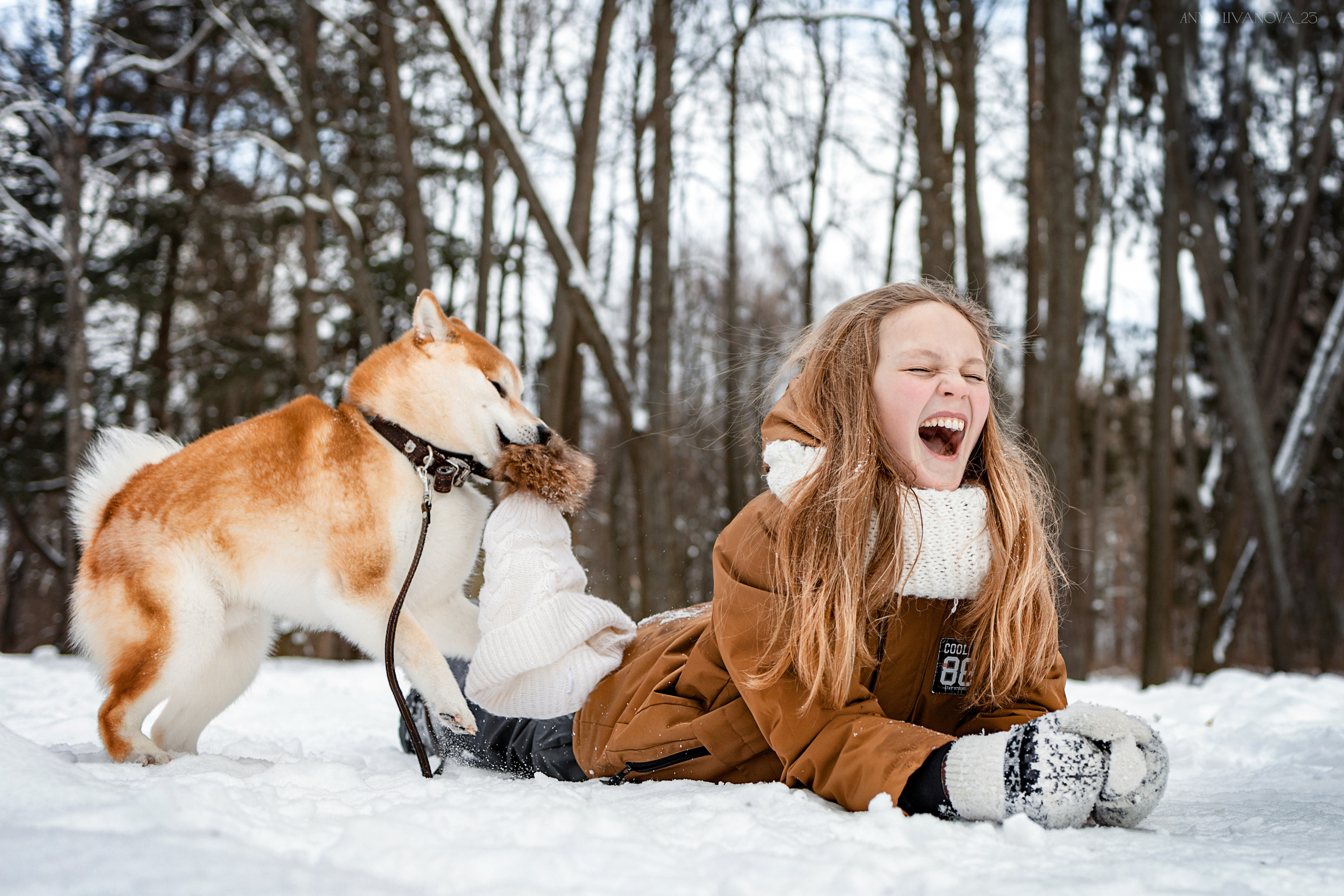 Амелия и Харди. Фотограф анималист Аня Ливанова | Рыбинск