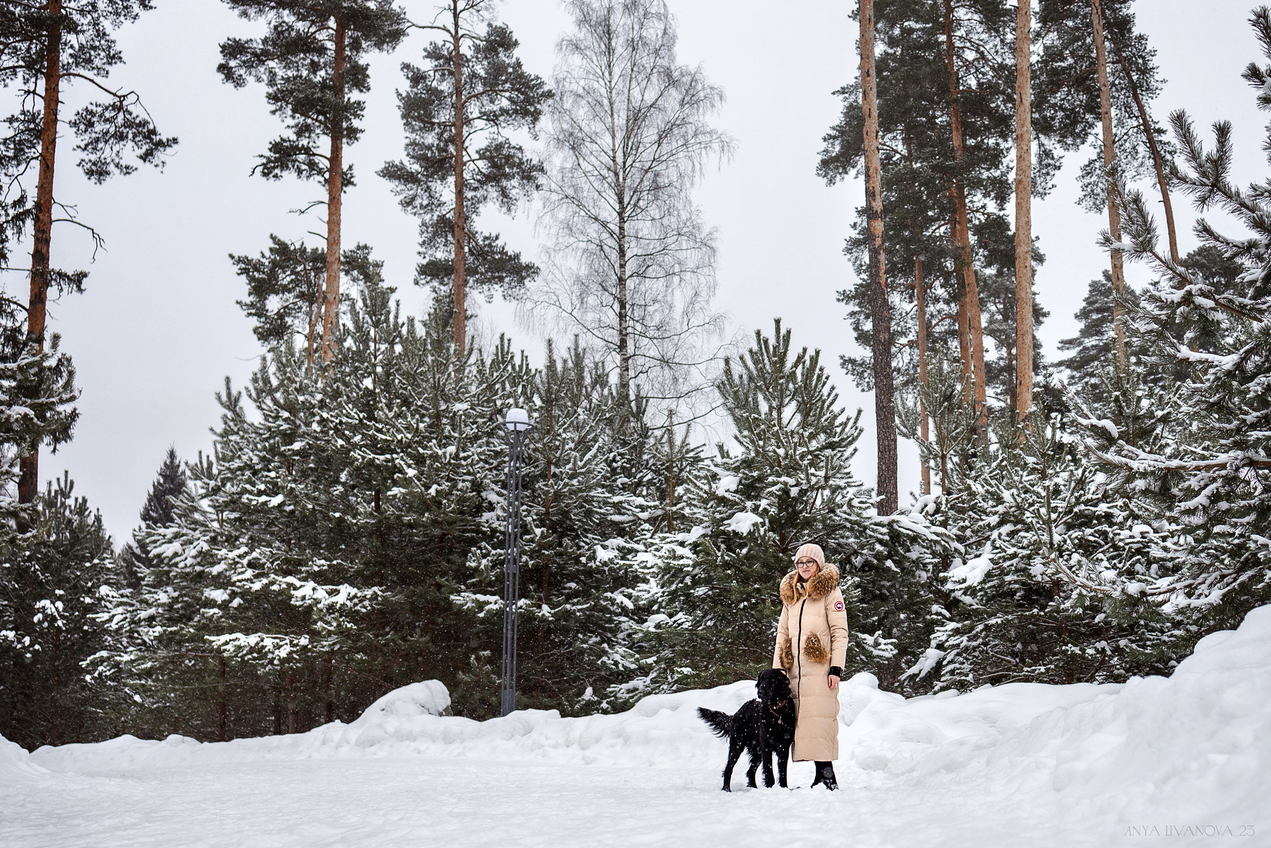 Катя — Вера и Купер. Фотограф анималист Аня Ливанова | Рыбинск