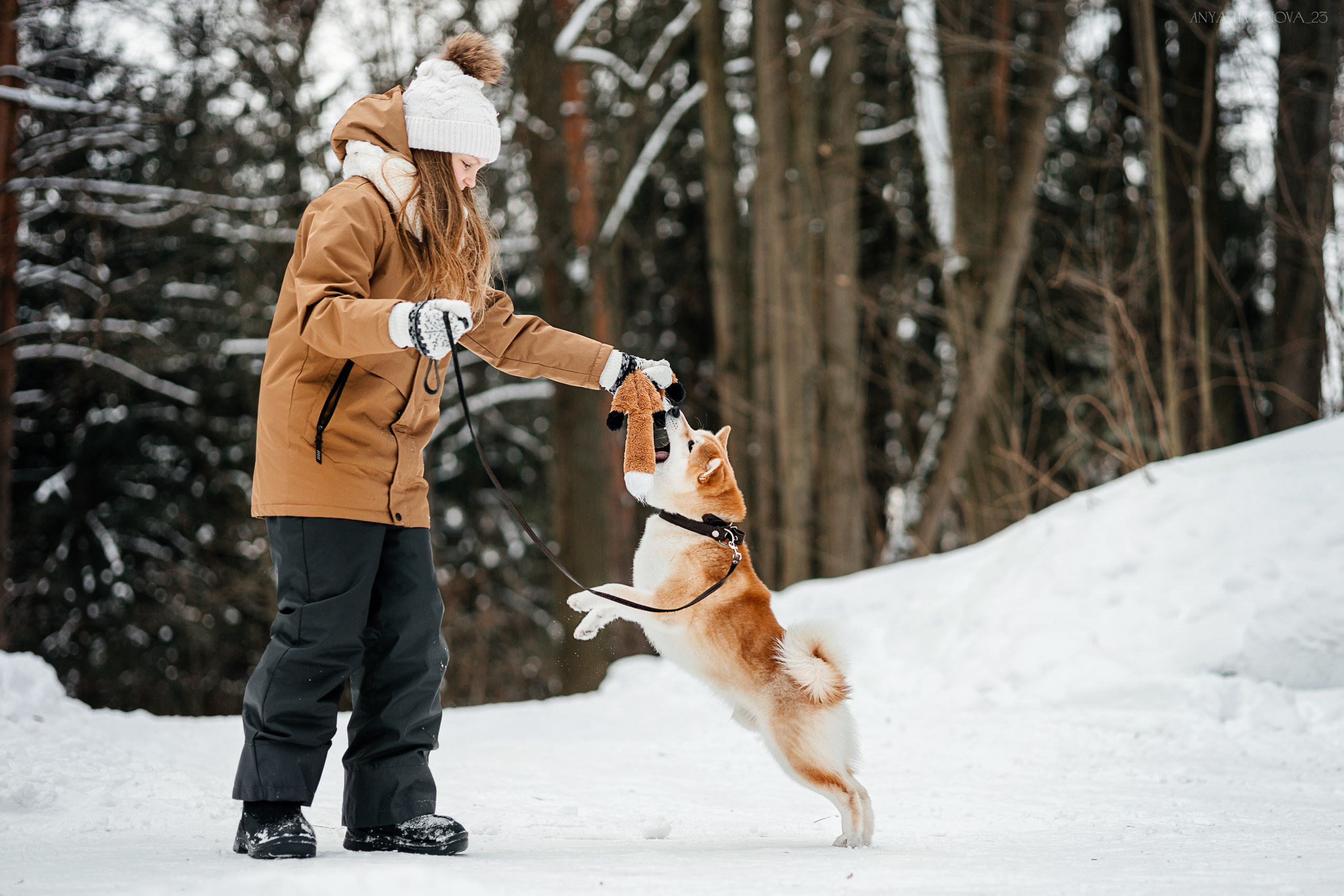Амелия и Харди. Фотограф анималист Аня Ливанова | Рыбинск