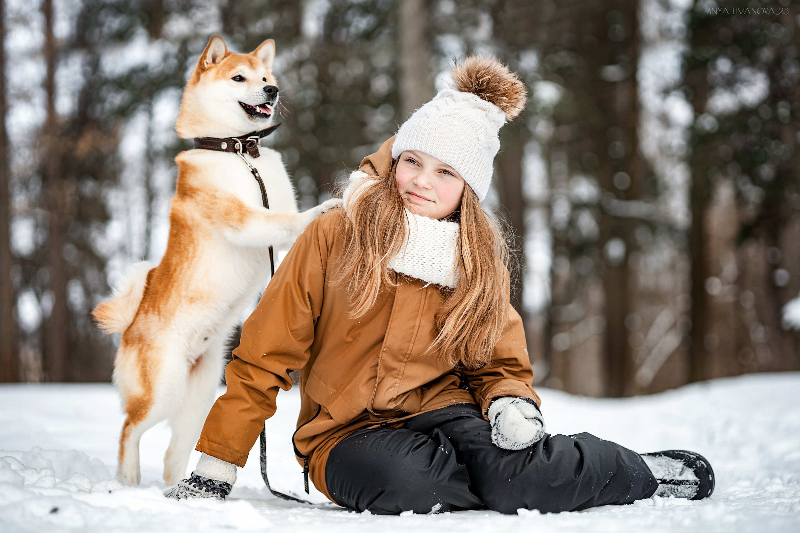 Амелия и Харди. Фотограф анималист Аня Ливанова | Рыбинск