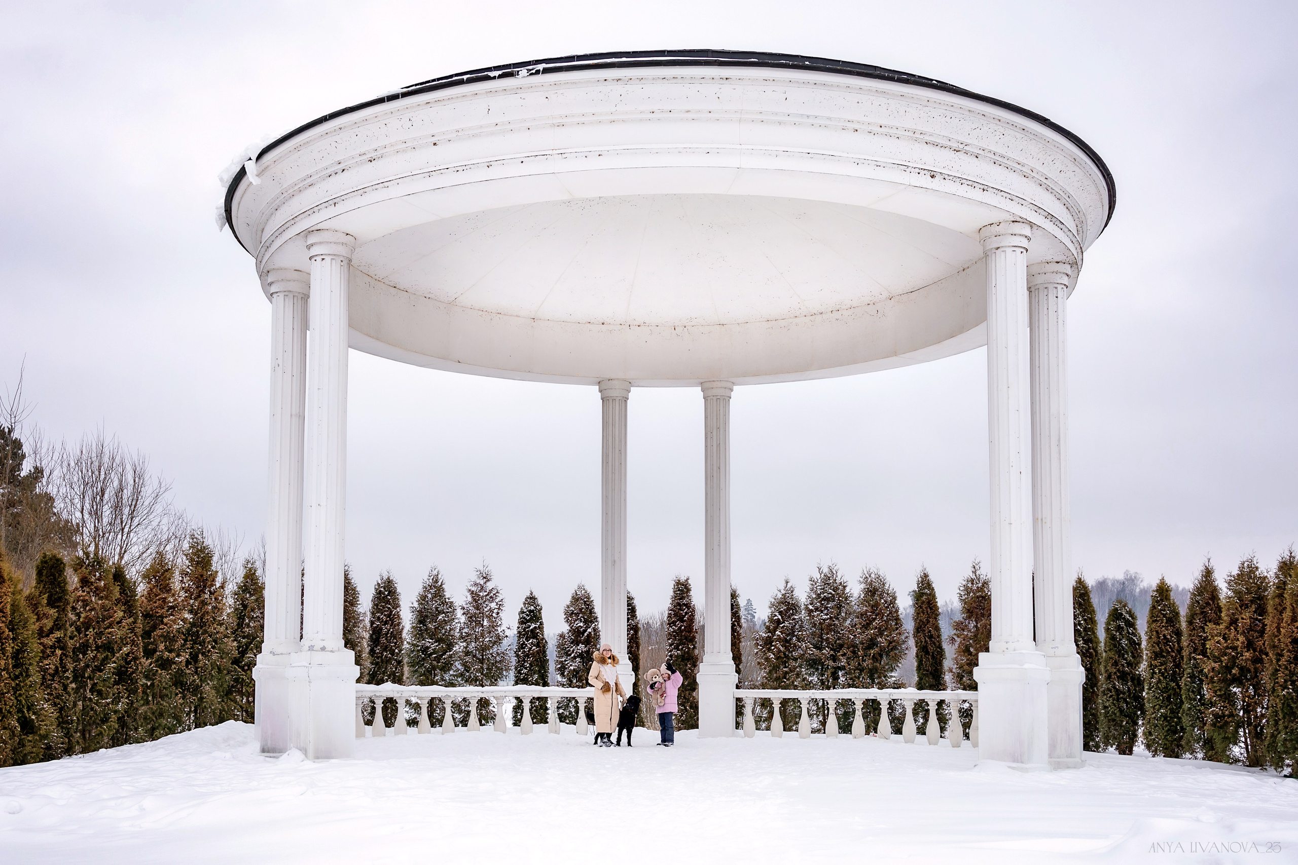 Катя — Вера и Купер. Фотограф анималист Аня Ливанова | Рыбинск