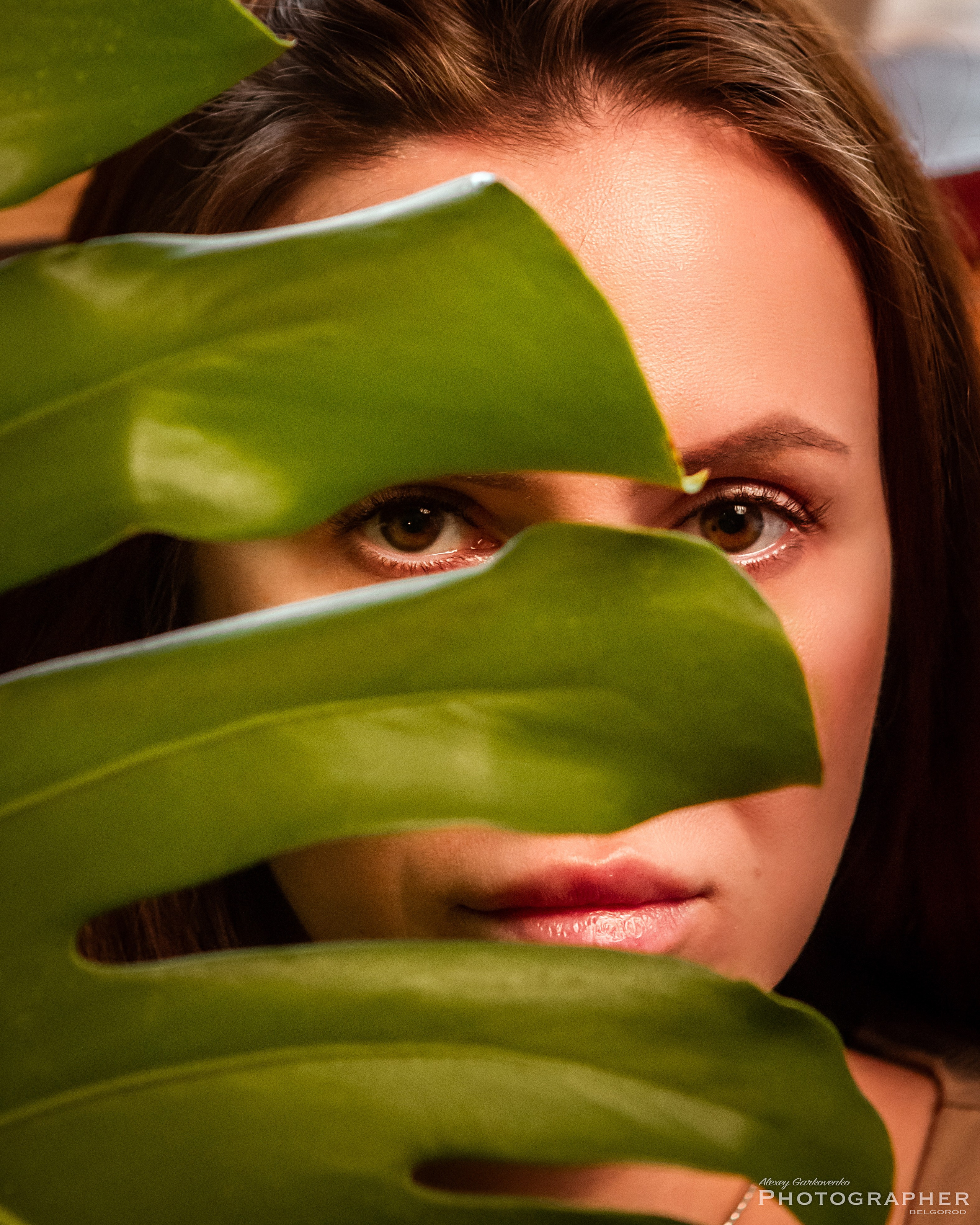 Мои работы цвет. Фотограф Алексей Гарьковенко