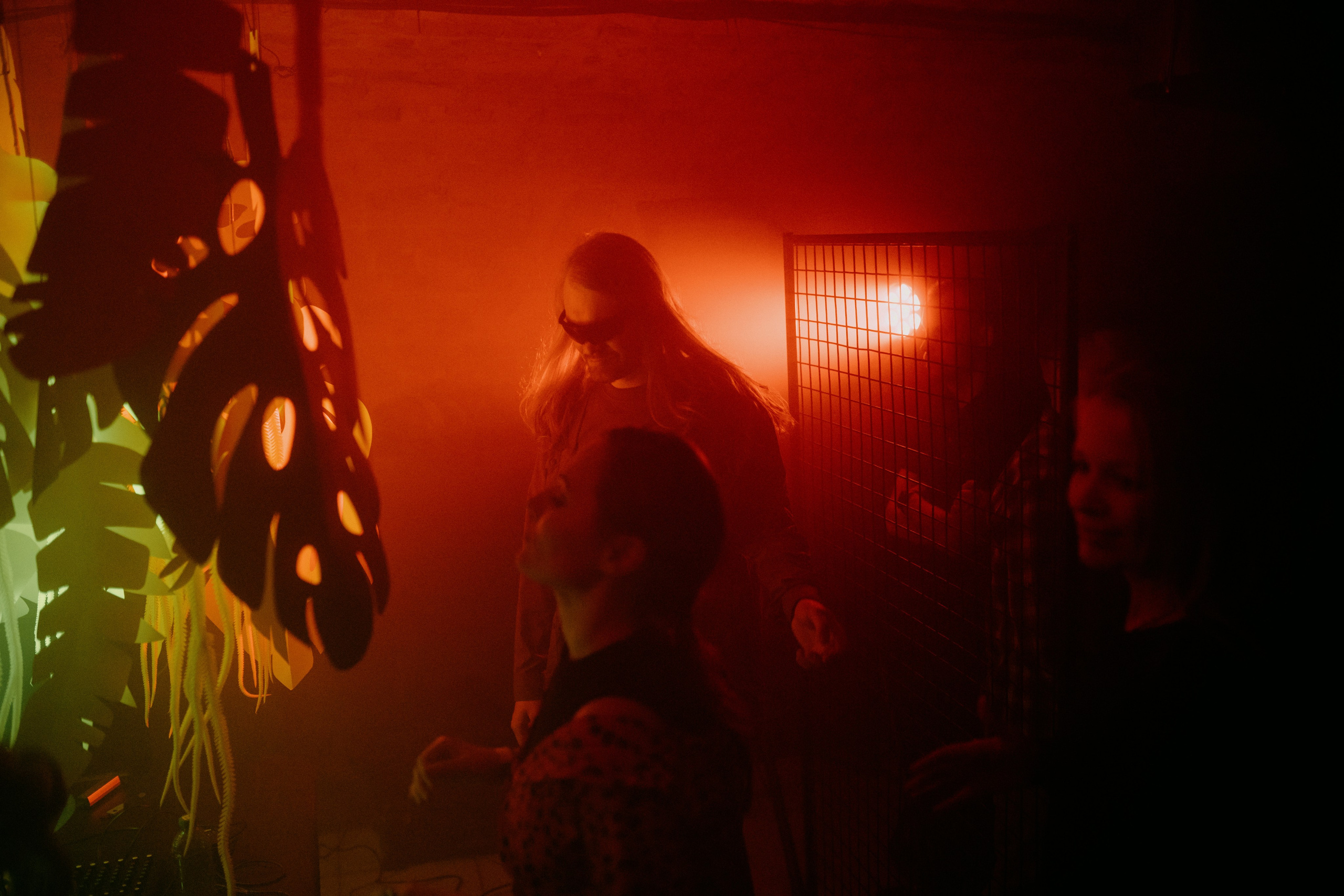 Кратная Звезда | JUNGLE WAVE. Фотограф Vika Rin