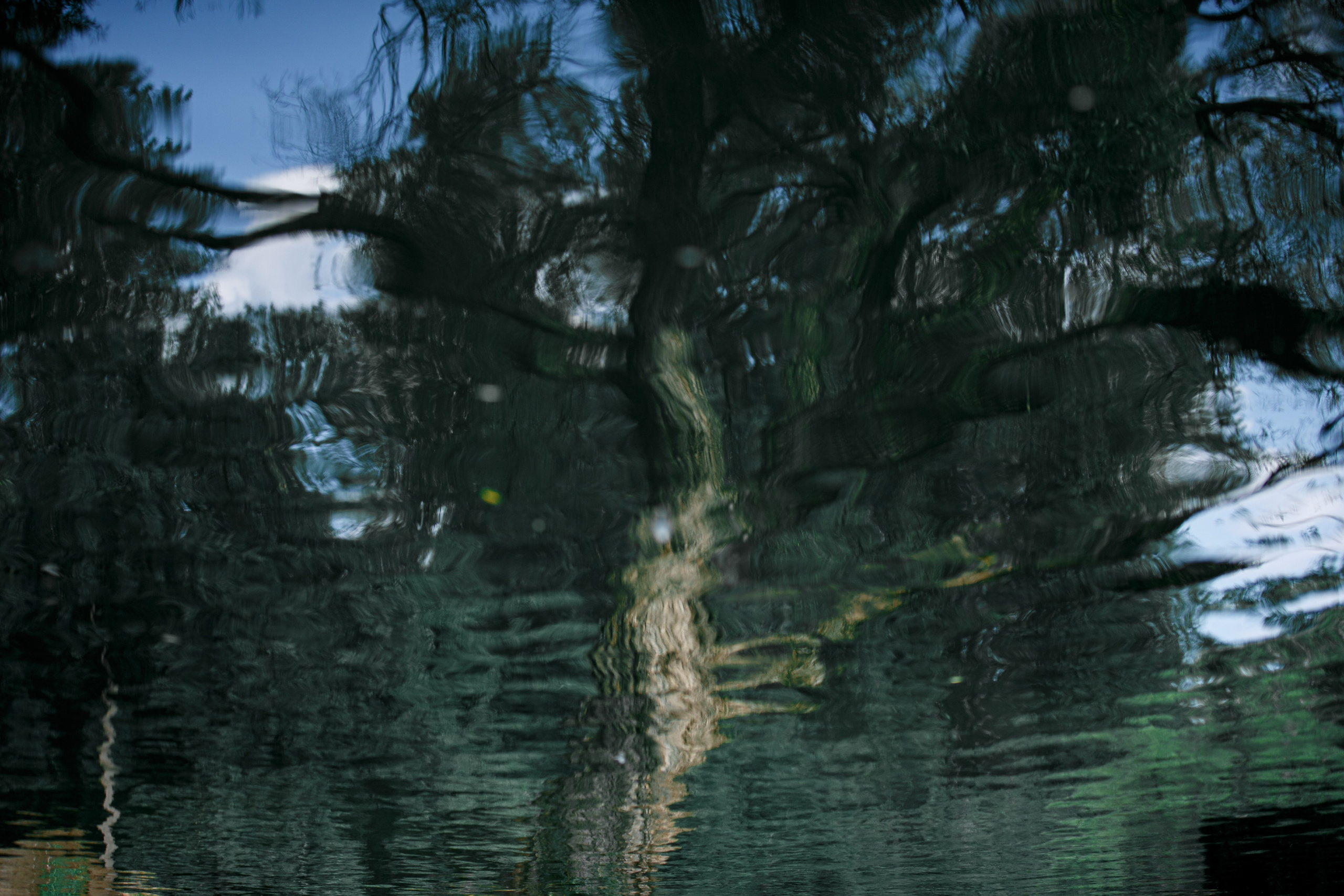 Амелия у озера. Портретный фотограф СПб — Ира Волкова