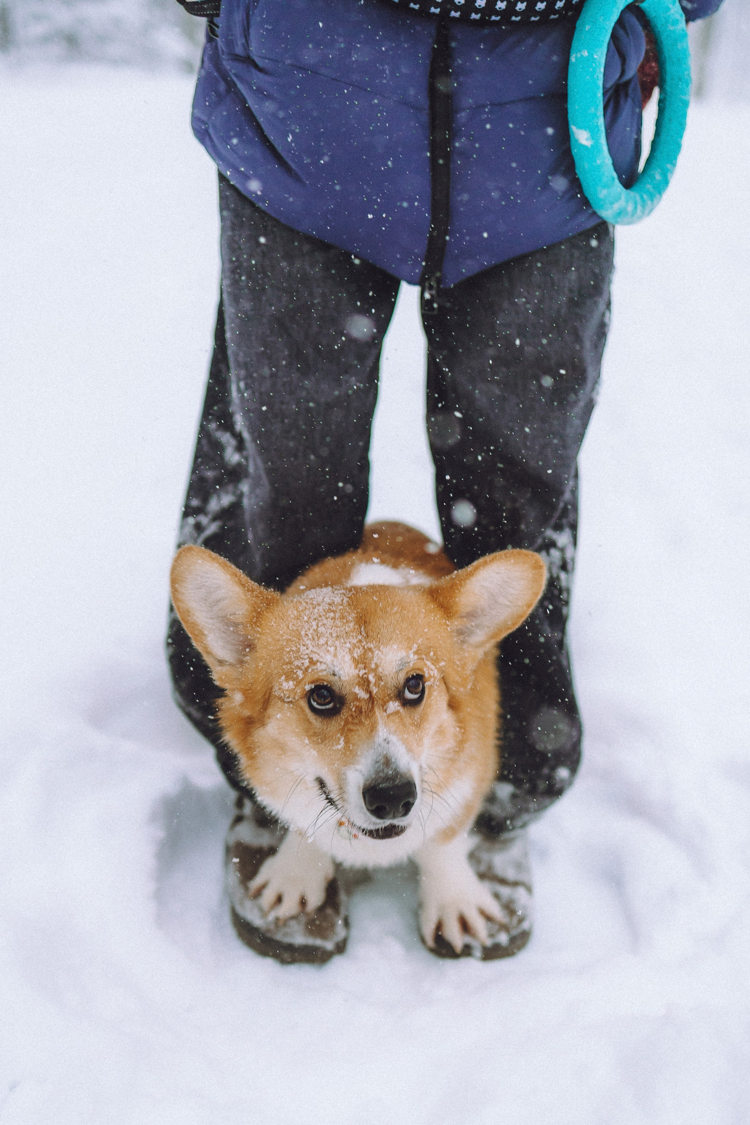 Юля и Юпитер