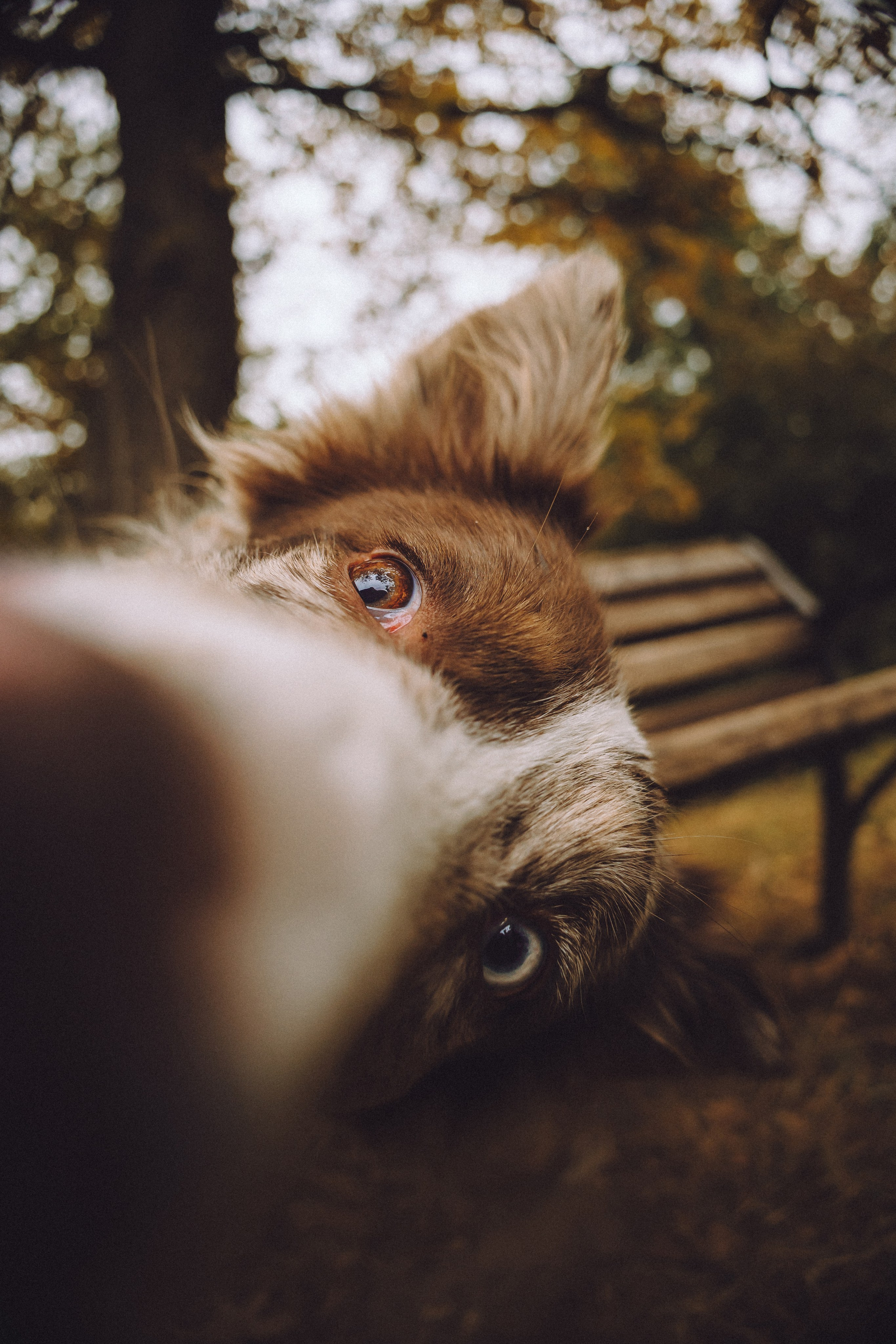 Катя, Кирилл, Кас, Багет и Батон