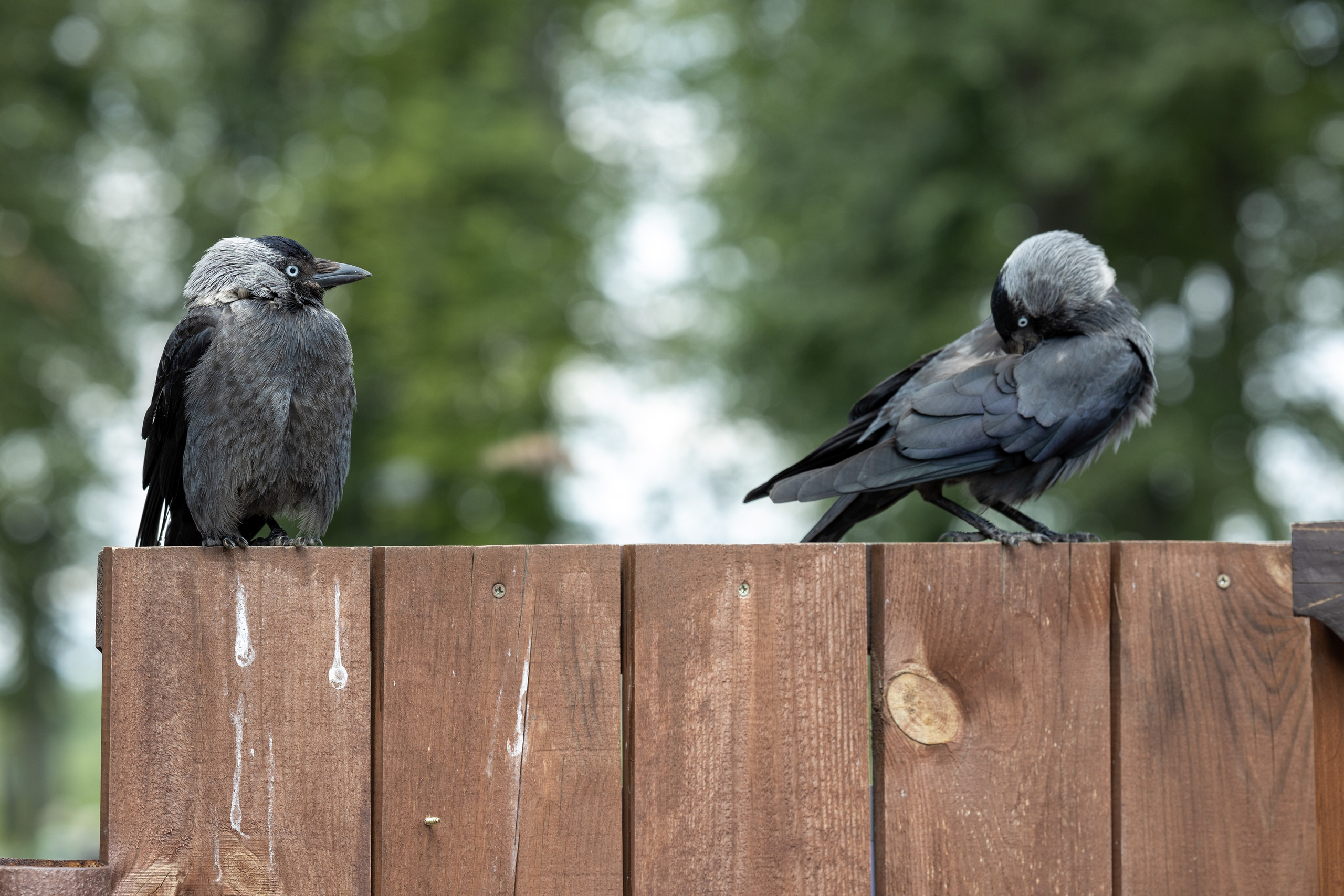 Природные пейзажи. Наталия Клевинскас портретный фотограф в Костроме