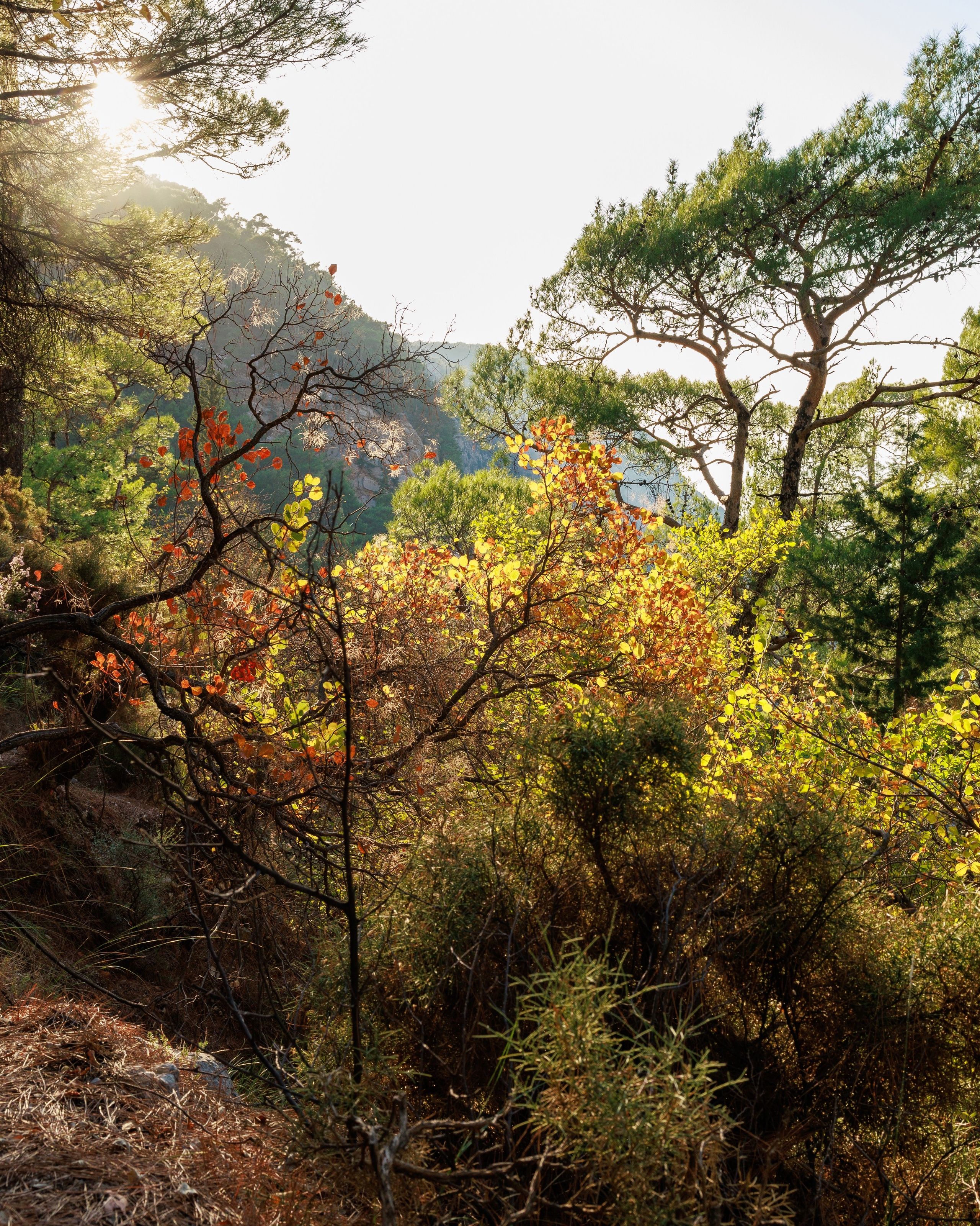 Travel. Индивидуальная и семейная съёмка. Москва, Наталья Самохвалова