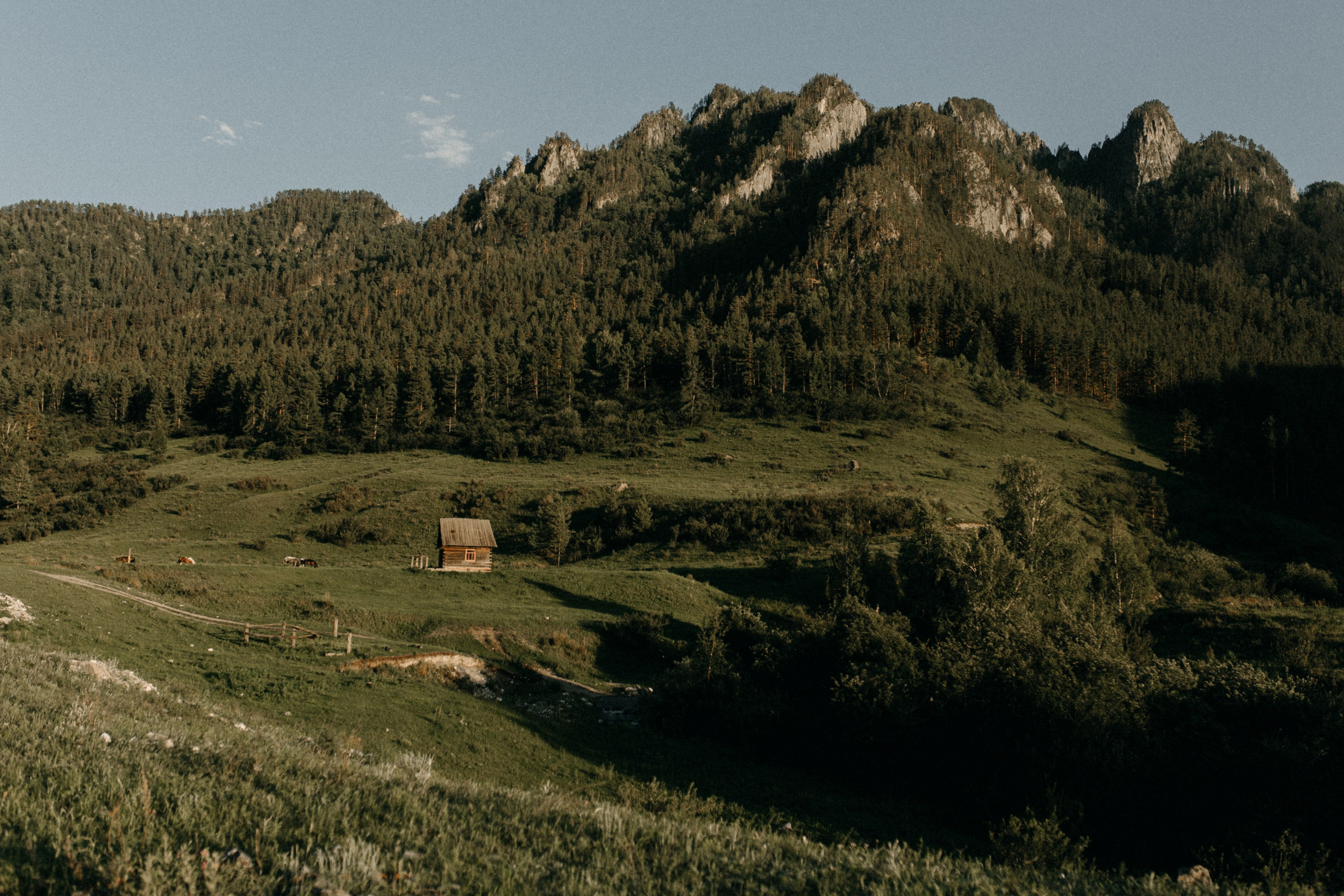 Илья и Оксана (Алтай). Свадебный и портретный фотограф в Калининграде и Москве Марк Юдинцев