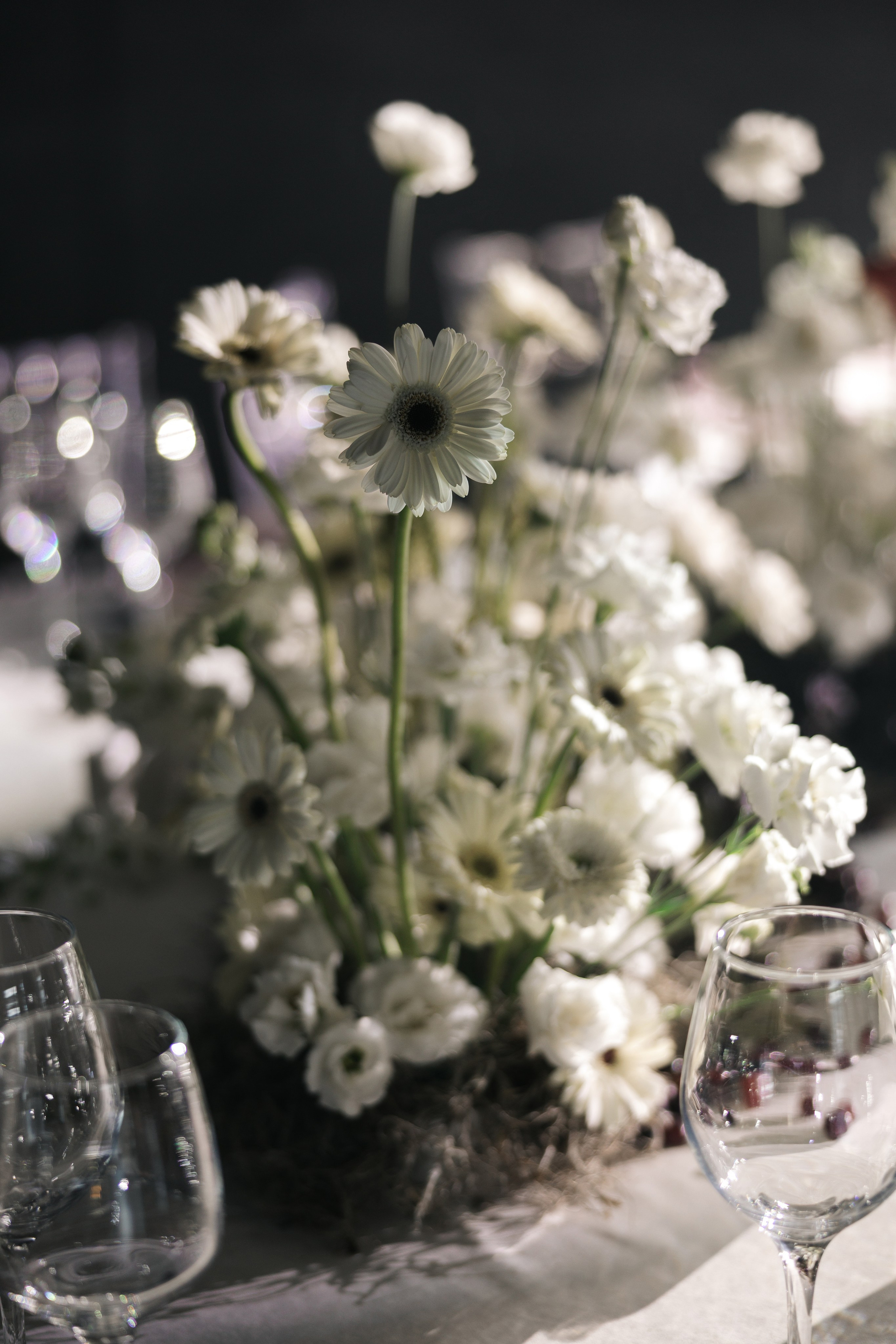 Roma & Anastasia. Свадебный фотограф Москва Мотеюнайте Виктория