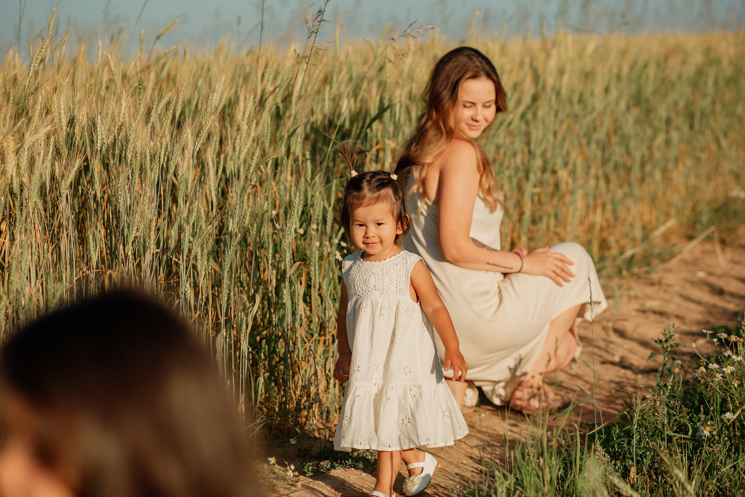 Прогулка в пшенице. Главная