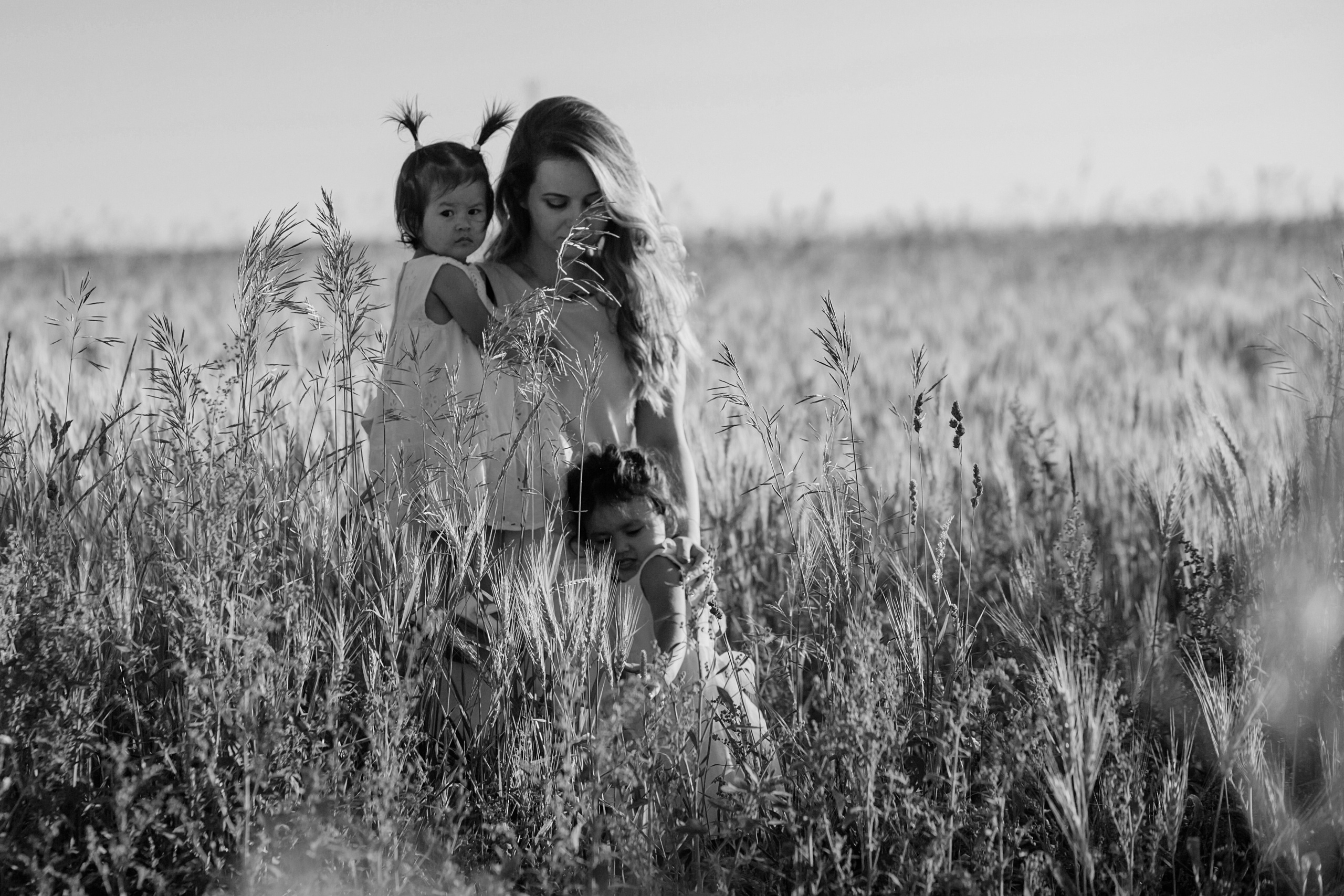 Прогулка в пшенице. Главная