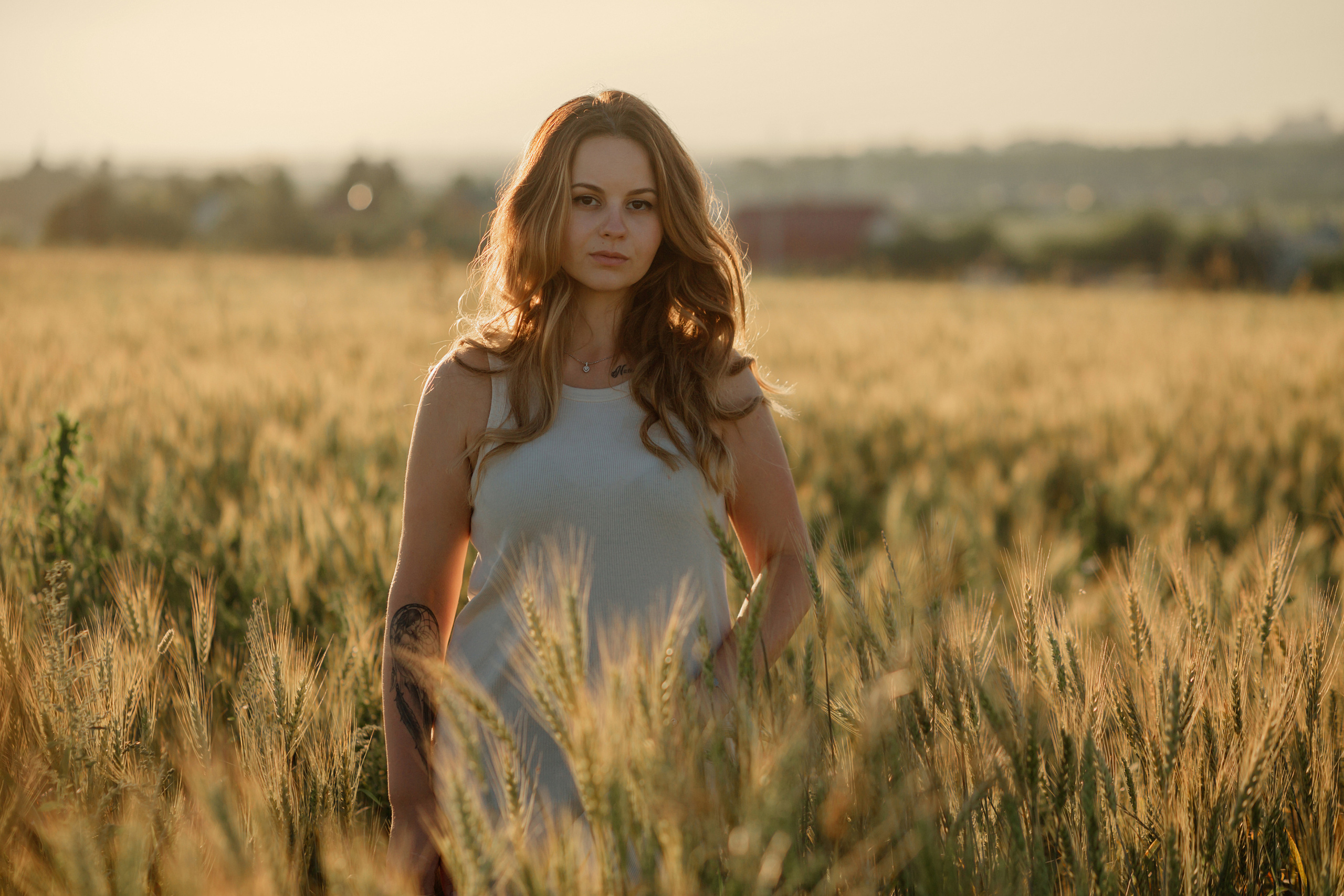 Прогулка в пшенице. Главная