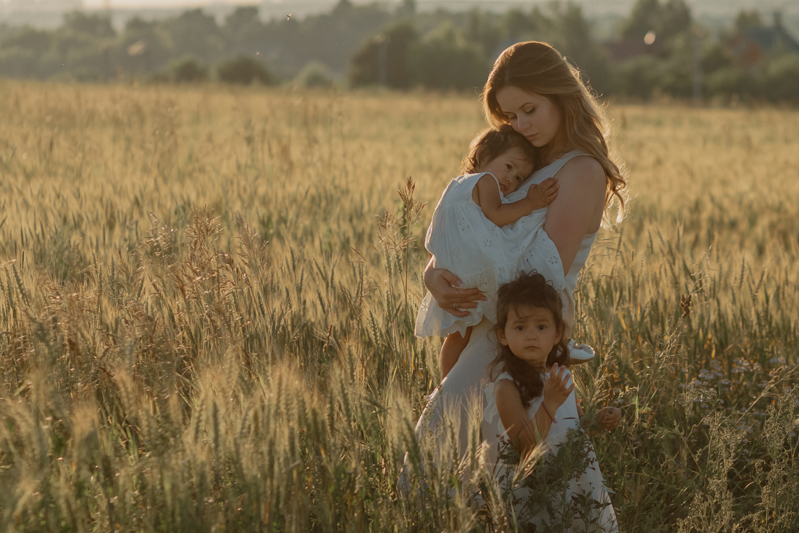 Прогулка в пшенице. Главная