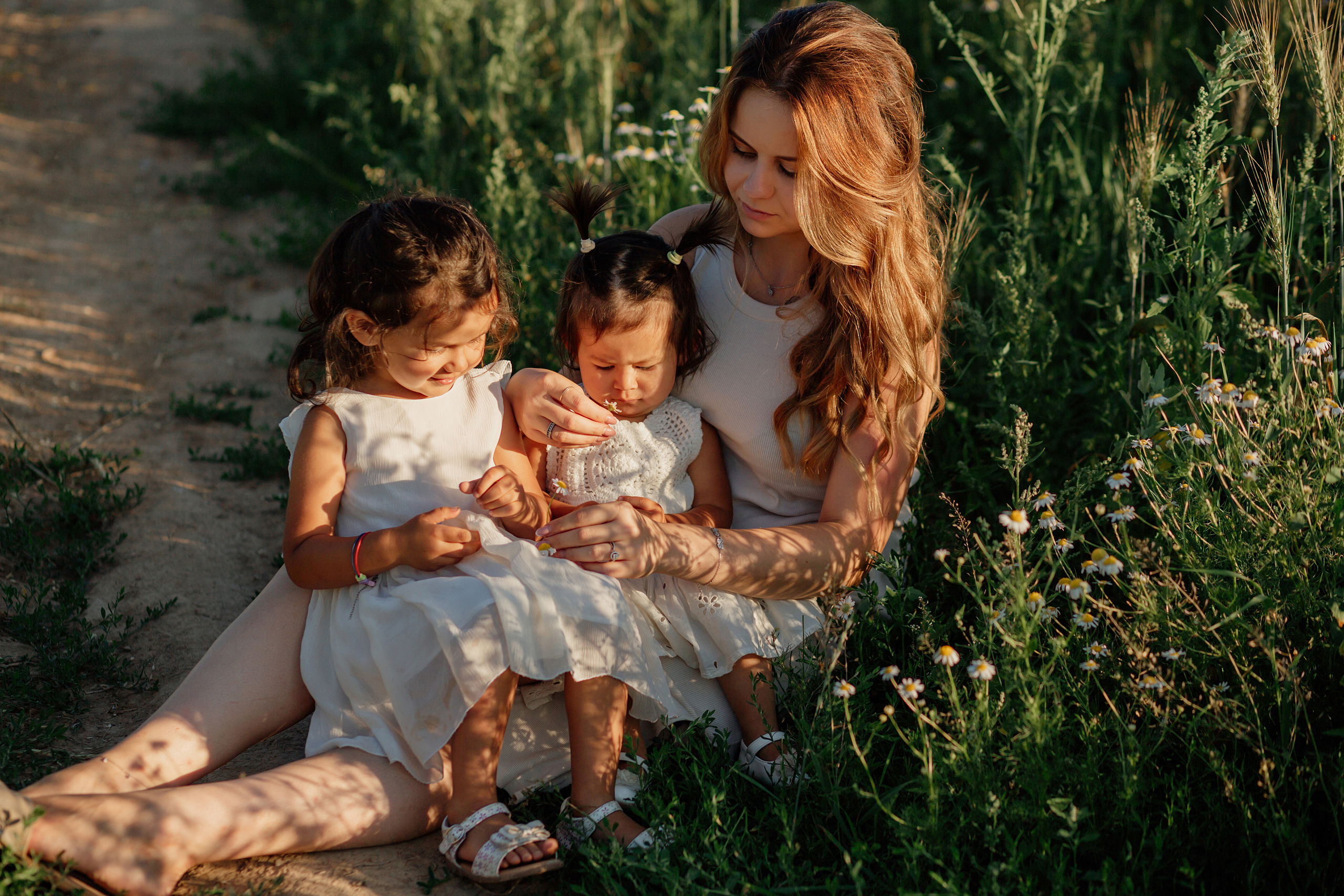 Прогулка в пшенице. Главная